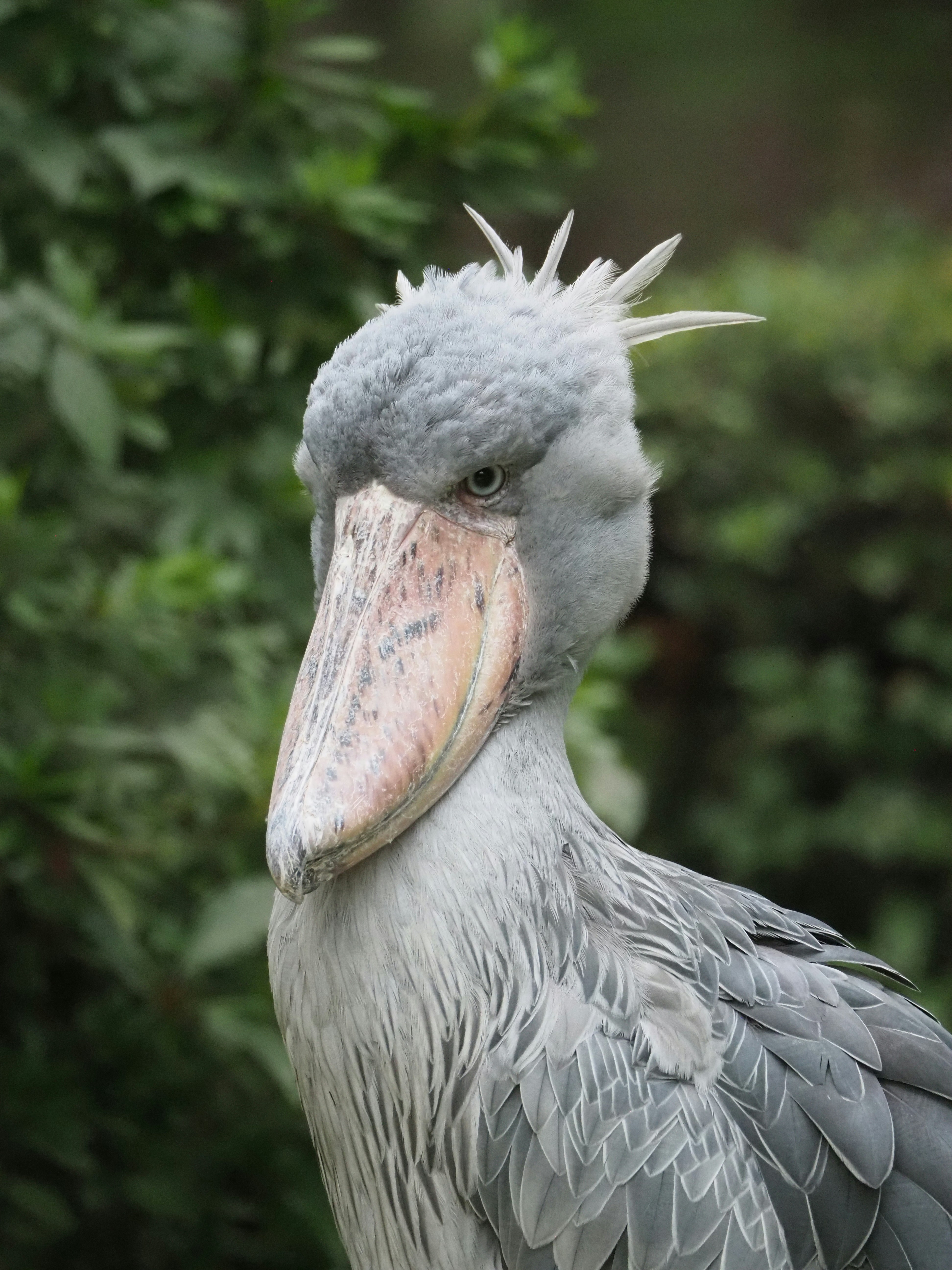 Photo by kohsaka1719