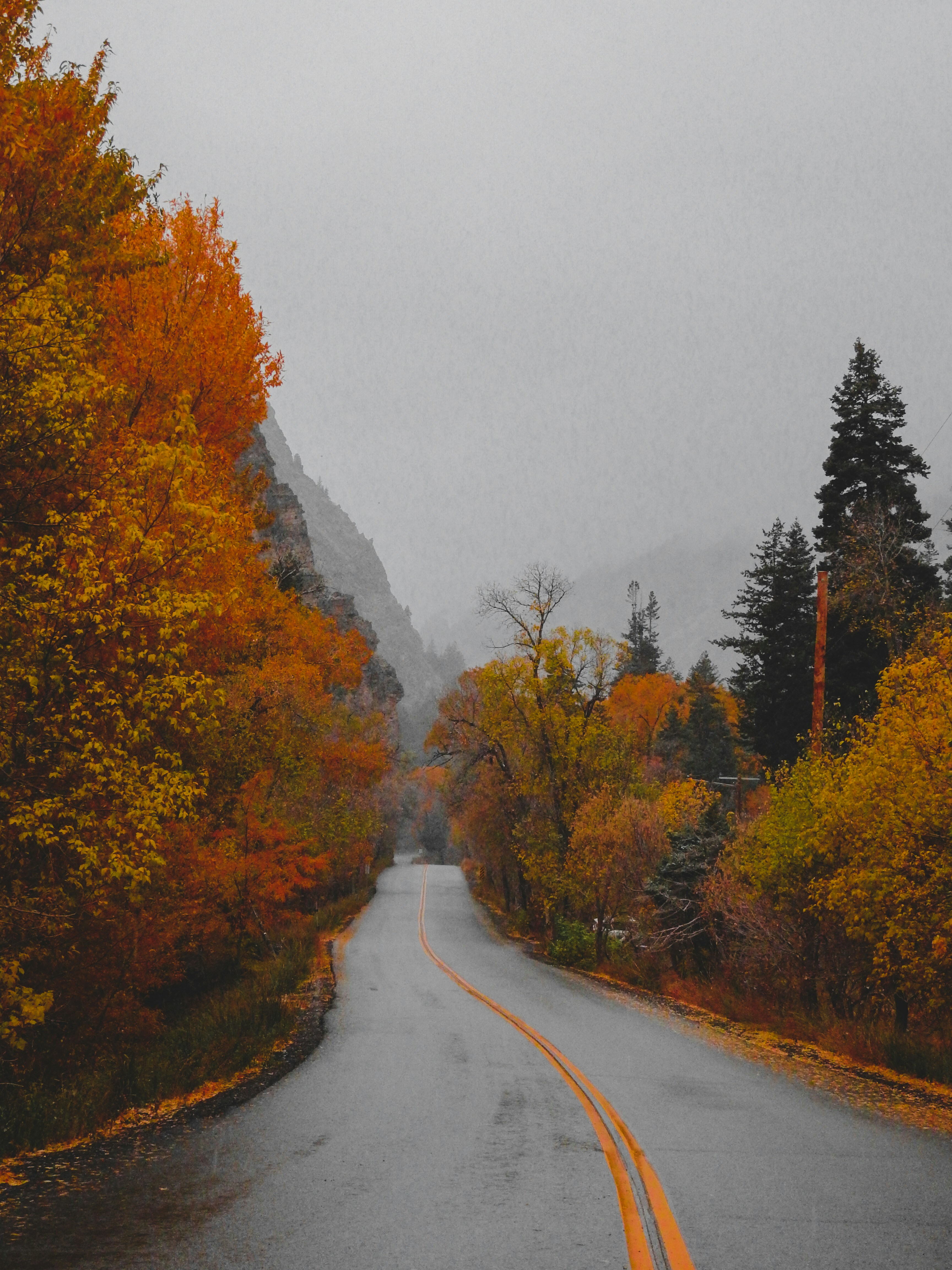 Photo by judd_nichols