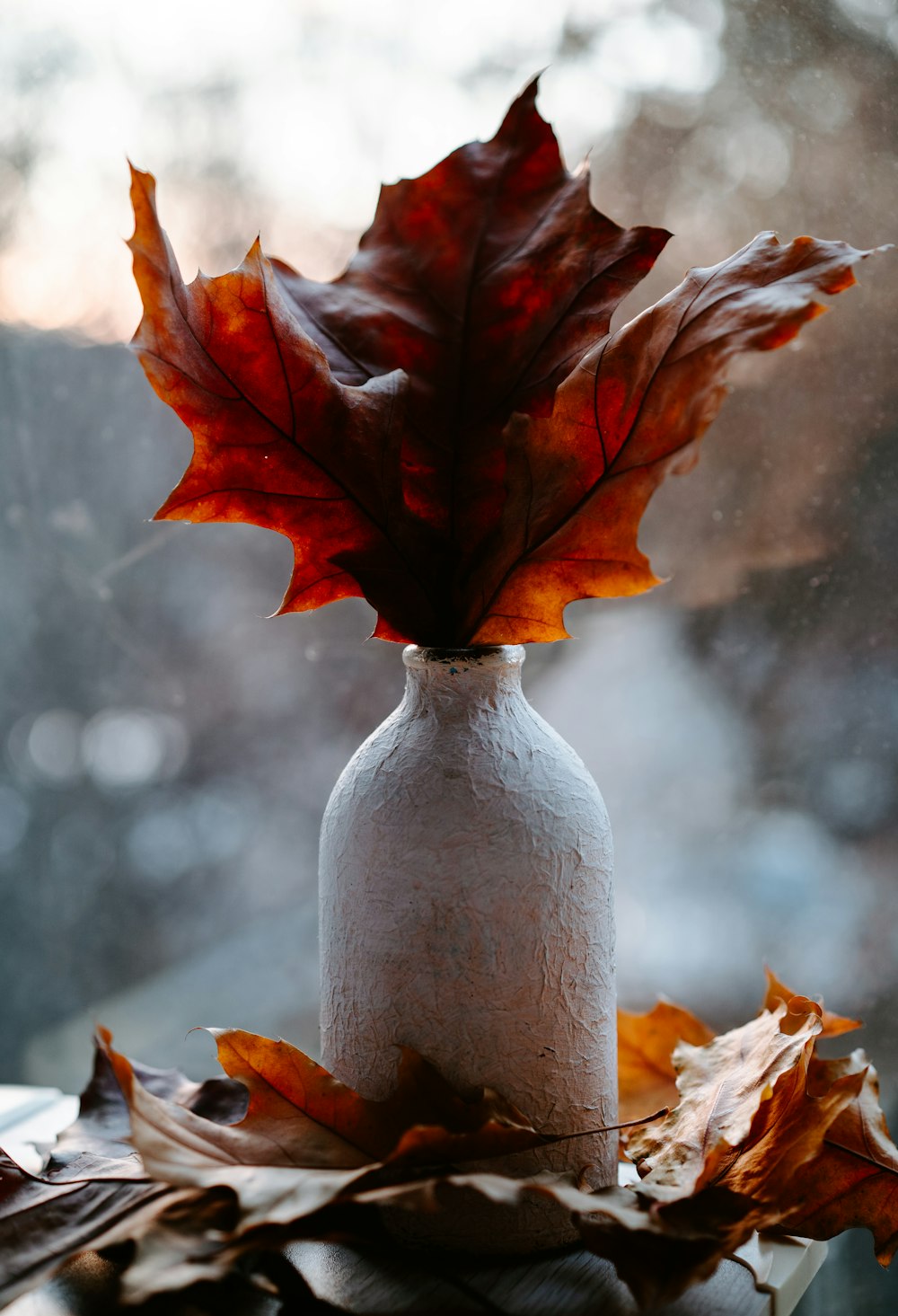 a vase with red leaves