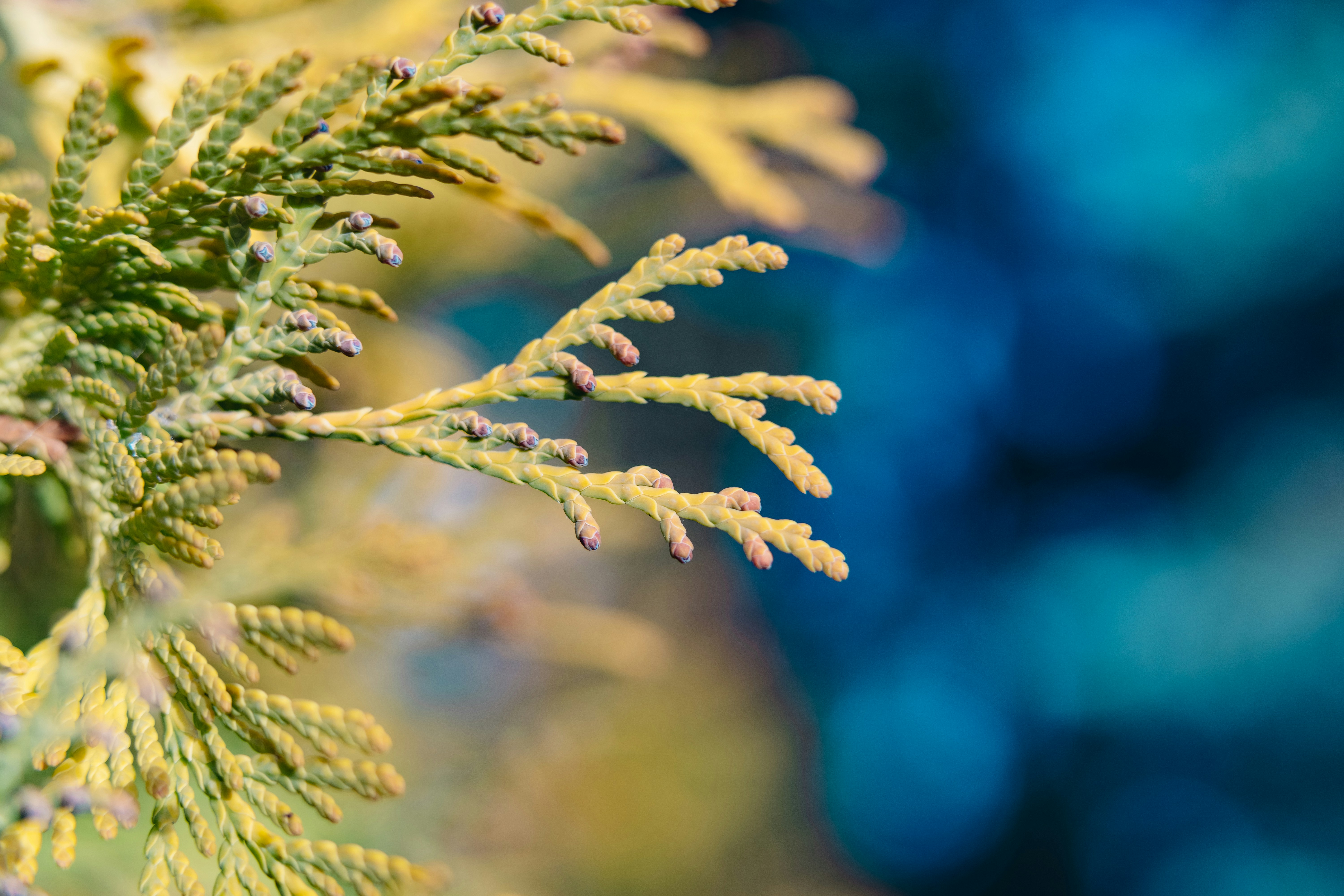 Photo by anamnesis33