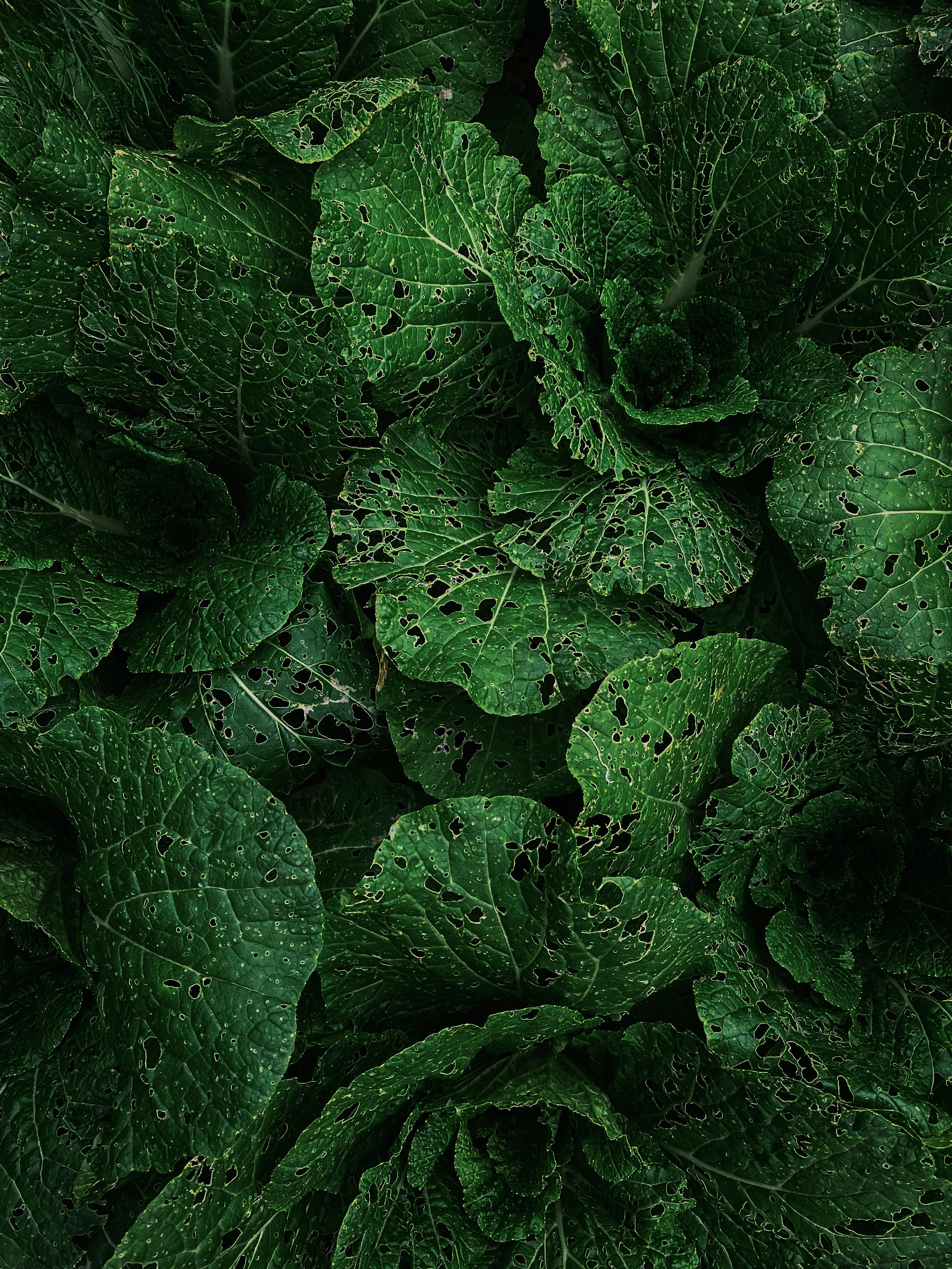 Photo by eugene_golovesov