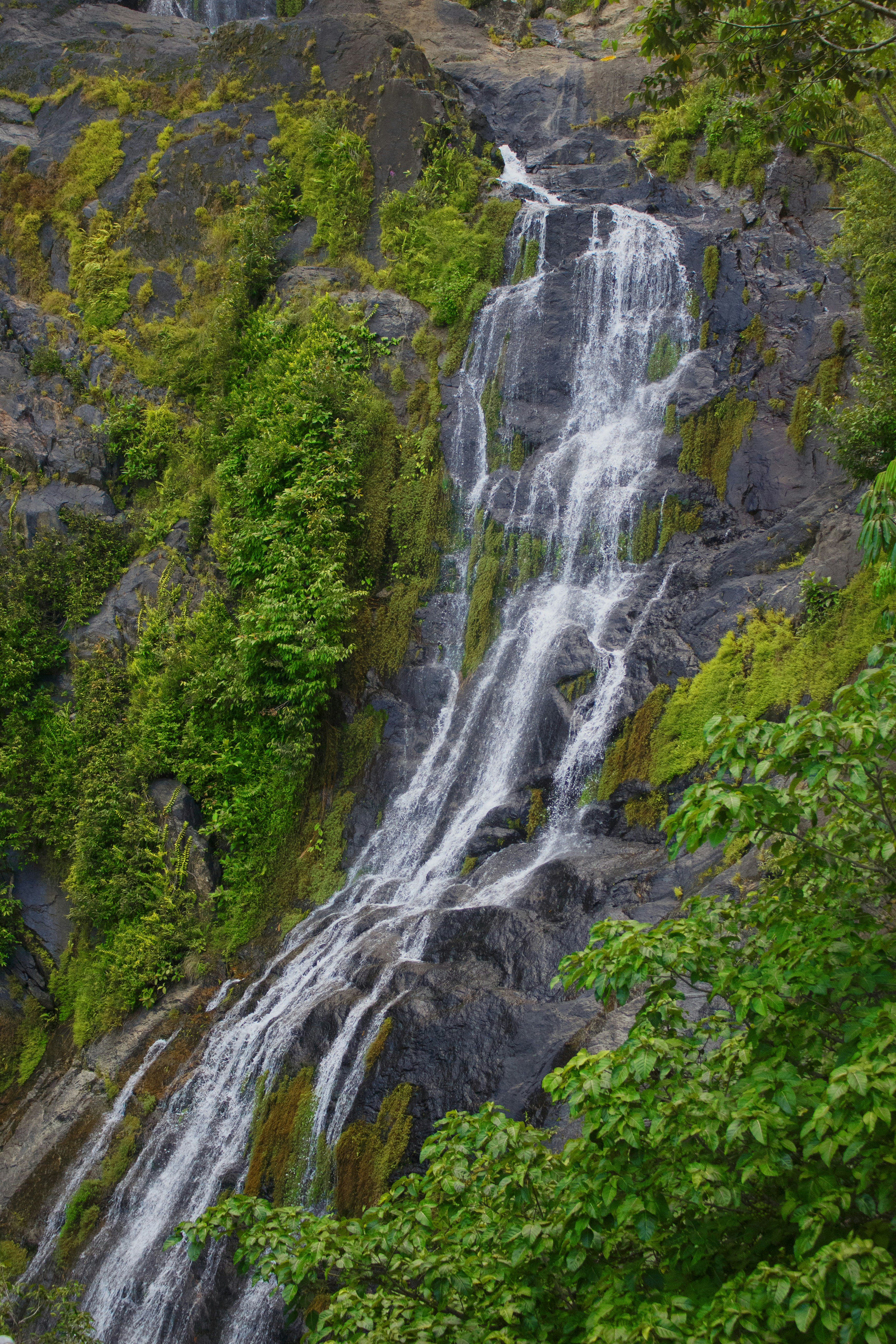 Photo by nathaliamva