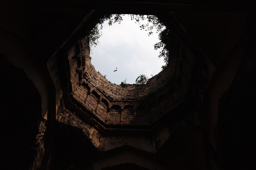 a stone archway with a bird flying