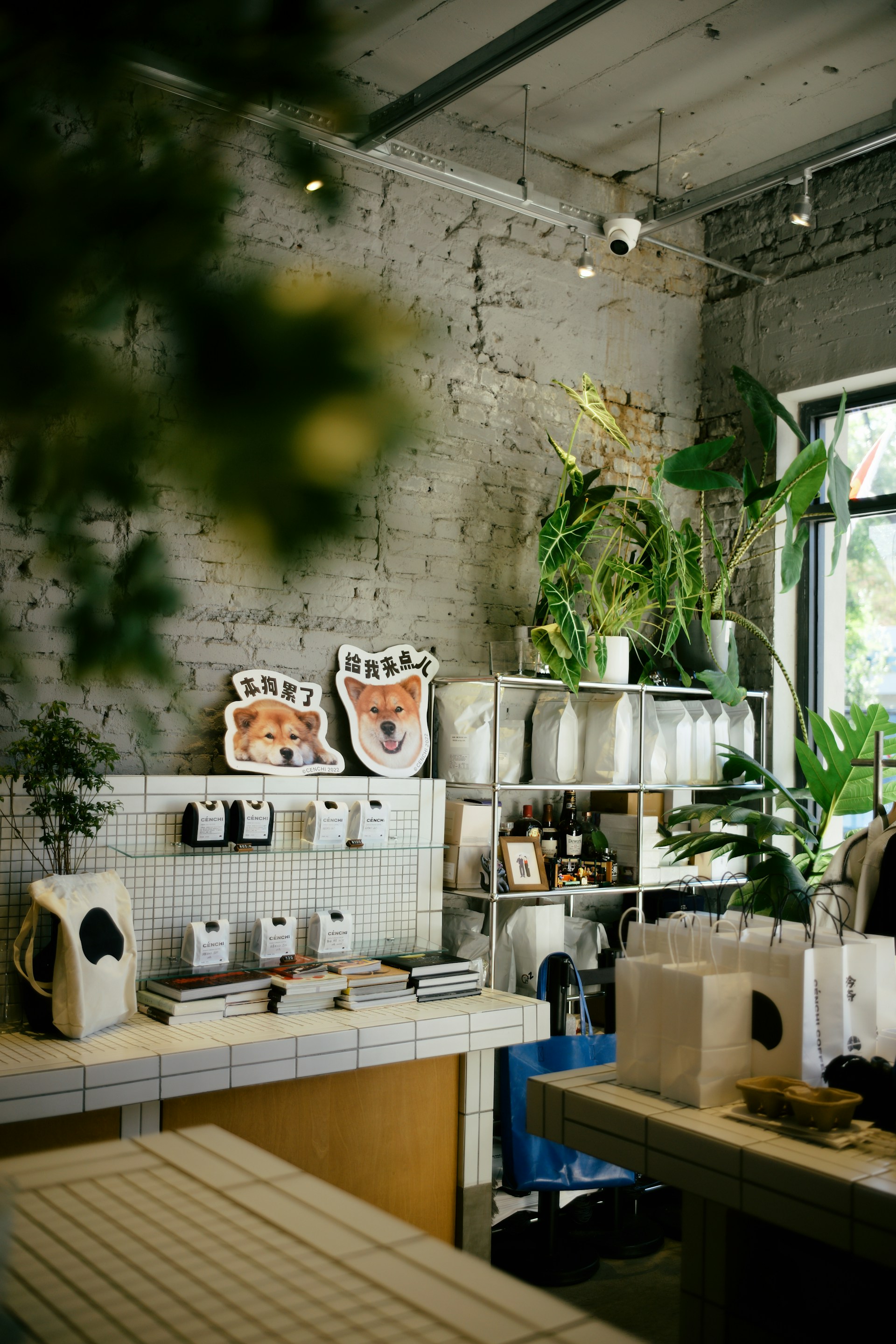 A vibrant shot of the salon’s cozy interior featuring rustic wooden shelves lined with curl care products and plants.