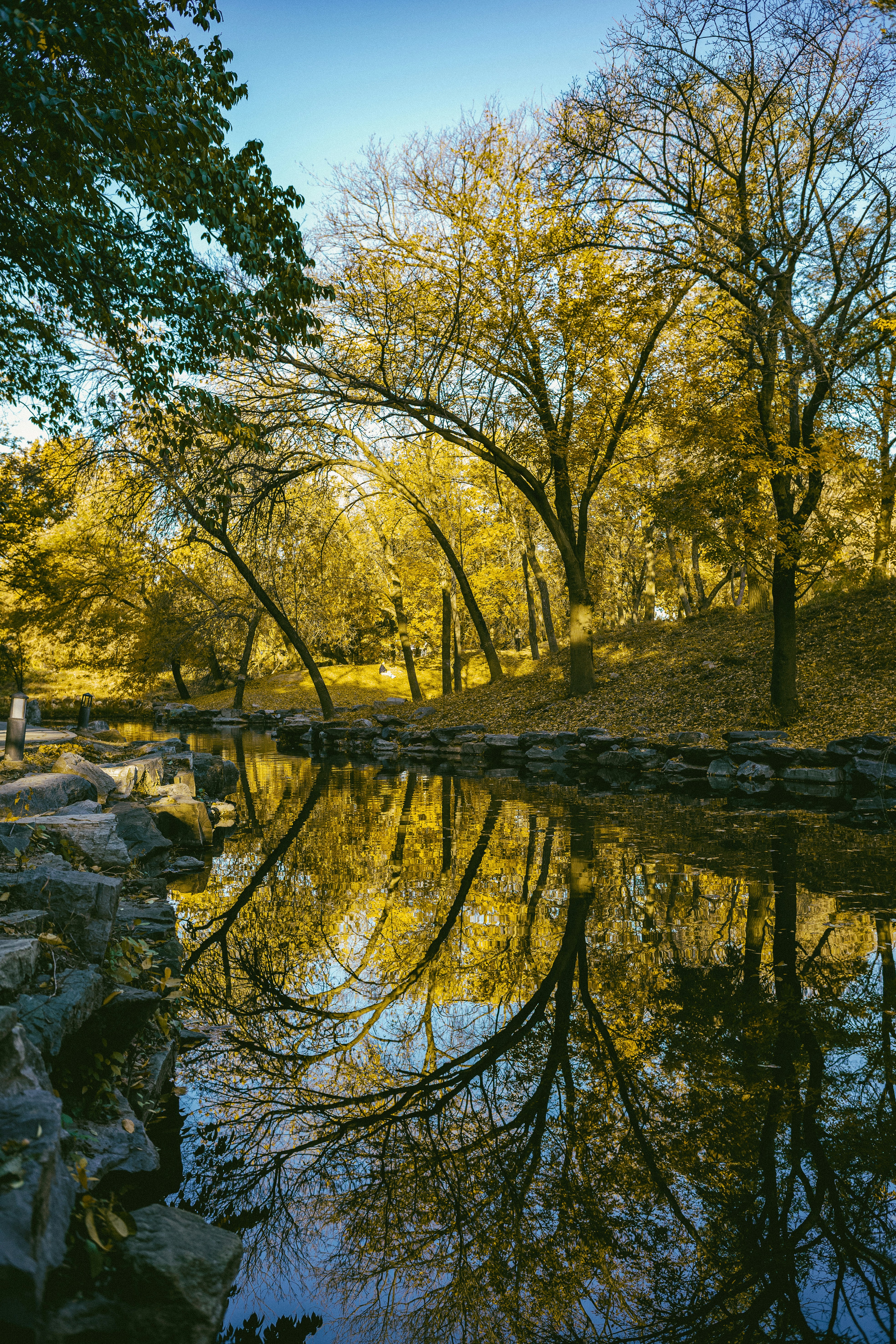 Photo by tommaomaoer