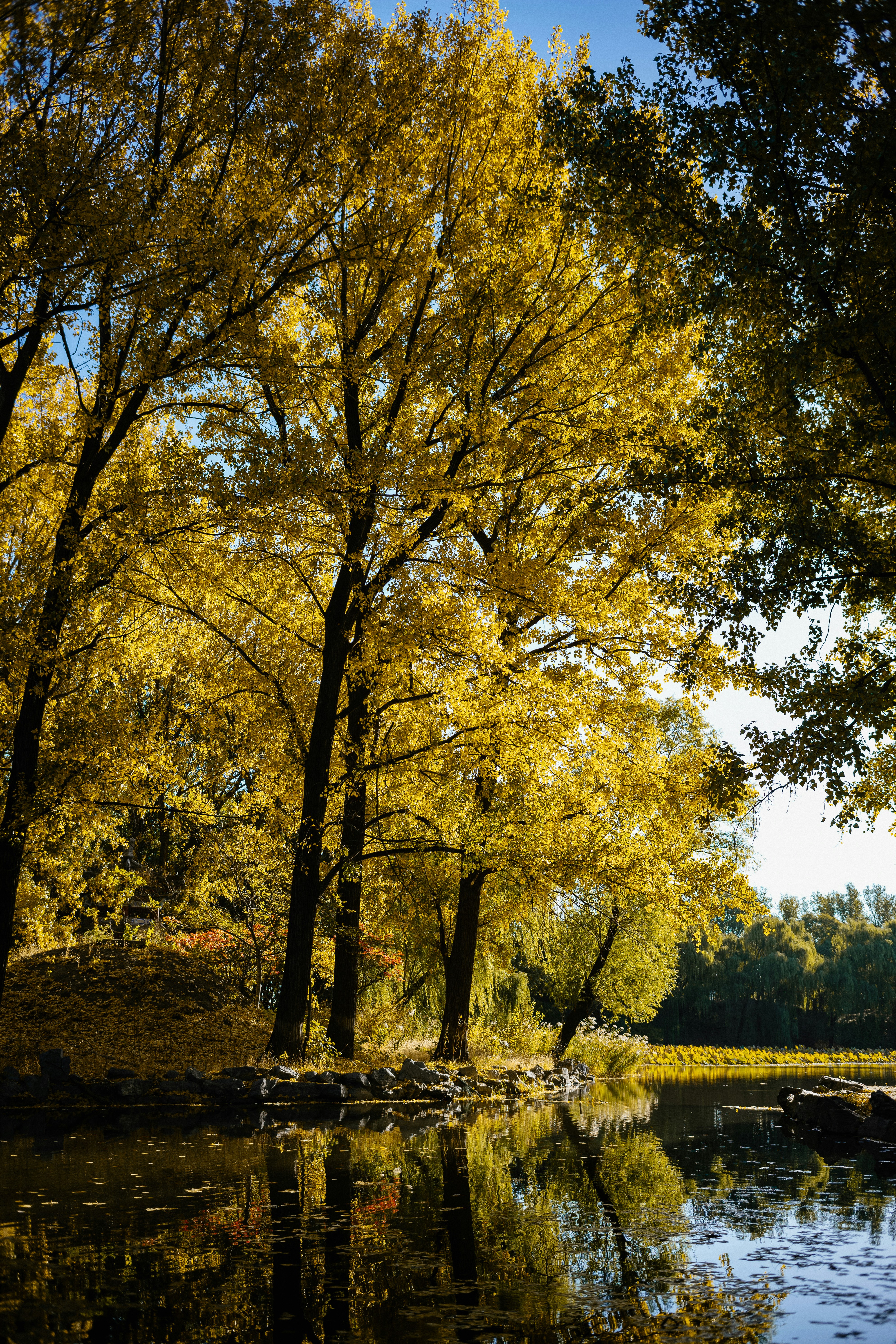 Photo by tommaomaoer