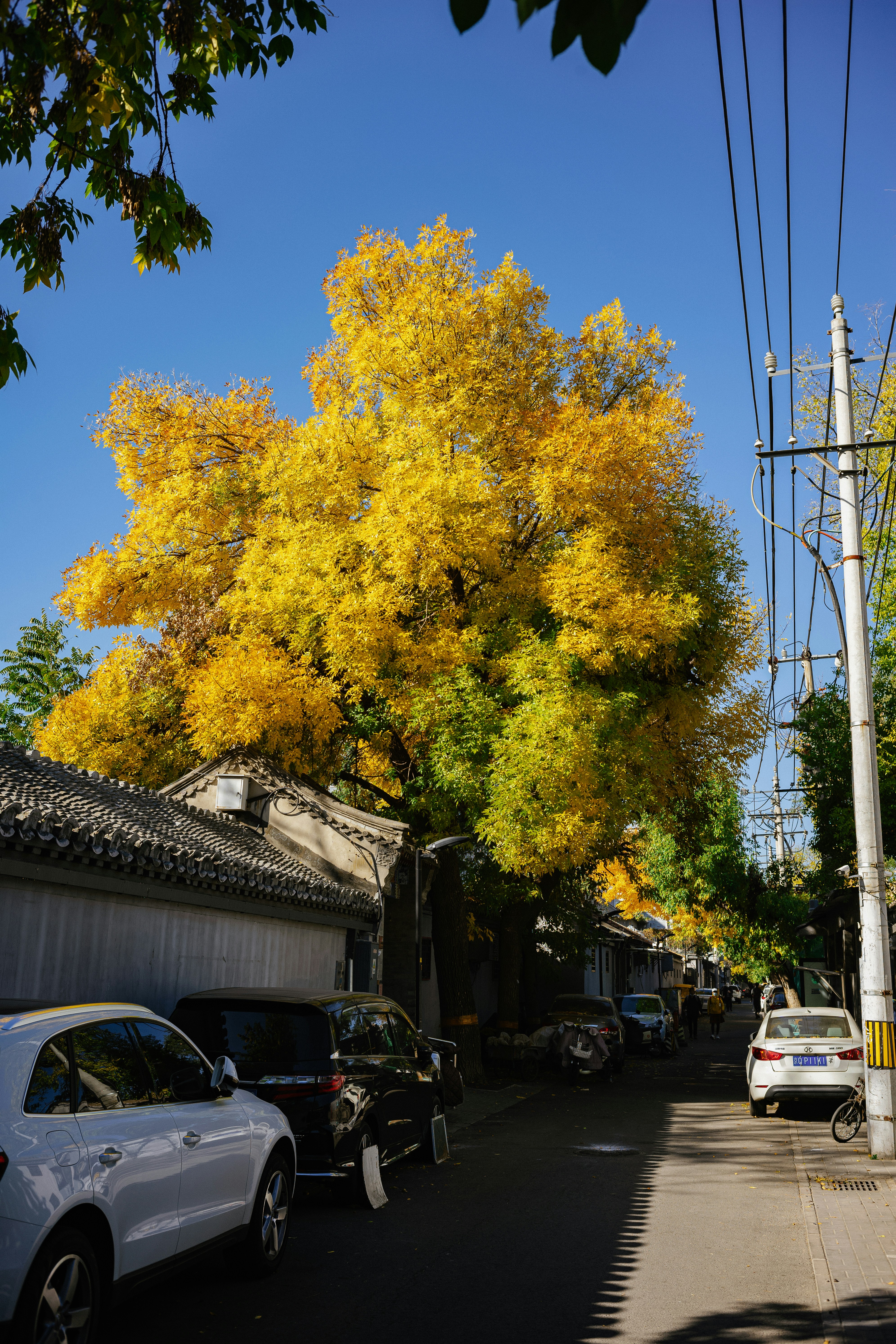 Photo by tommaomaoer