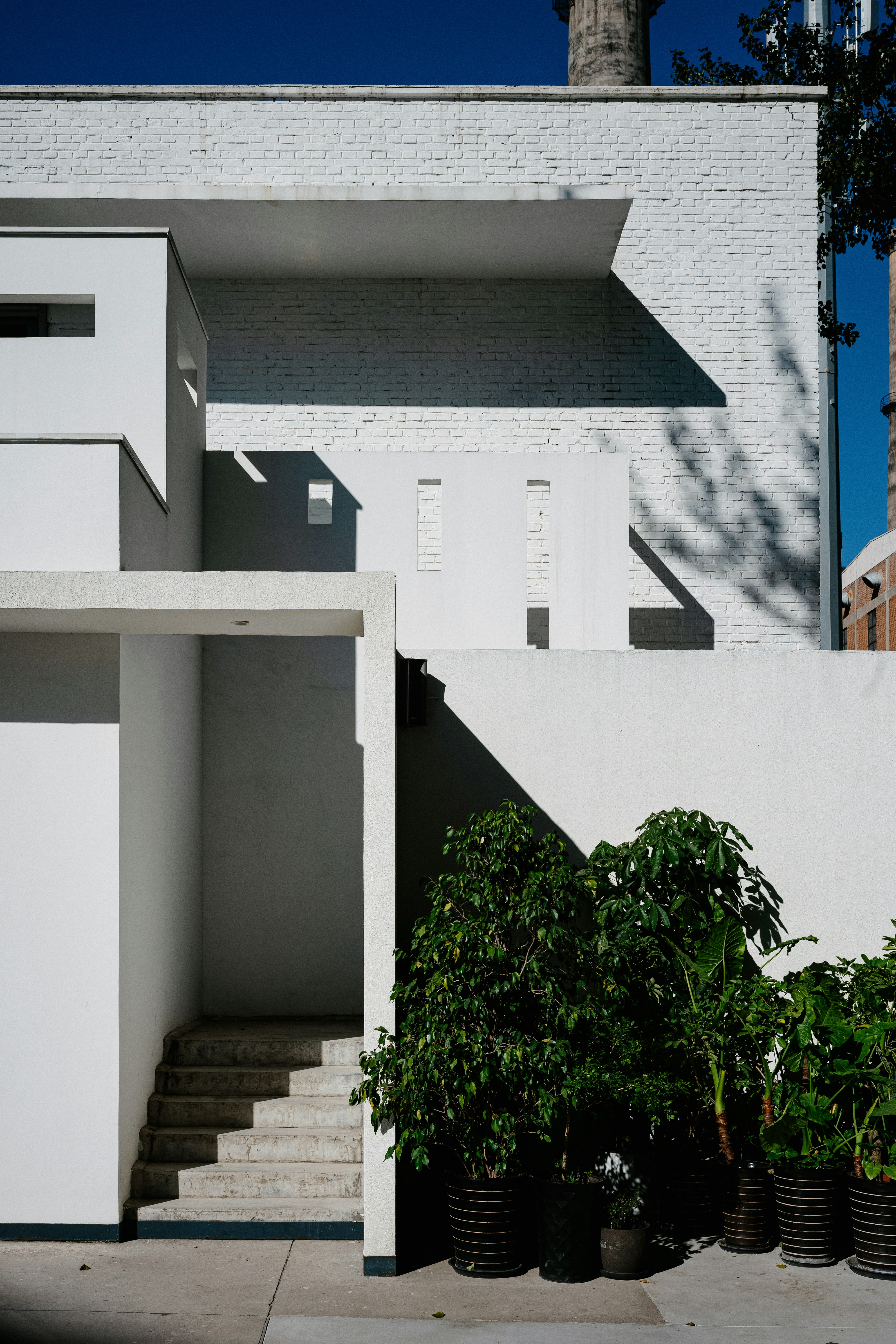 Photo by tommaomaoer