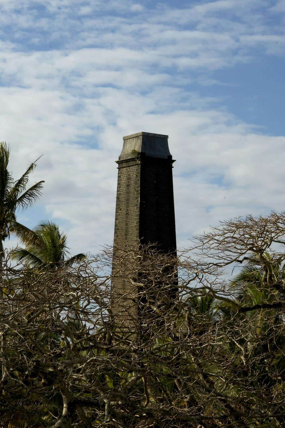 a tall tower in a forest