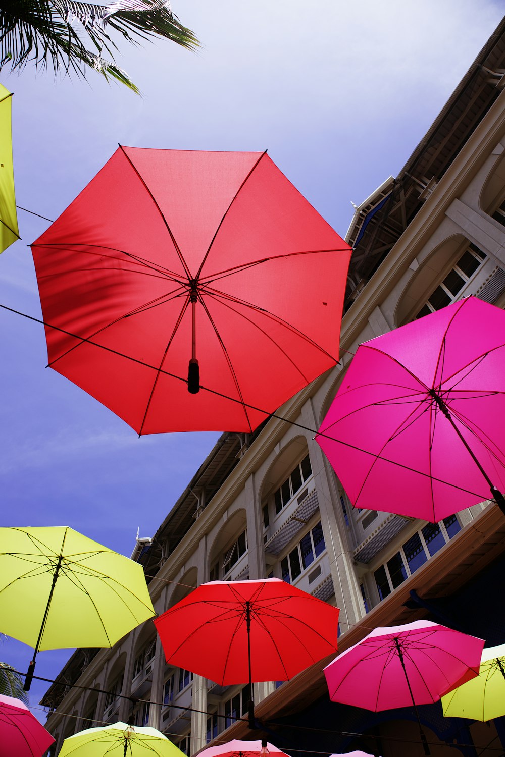 un groupe de parapluies colorés