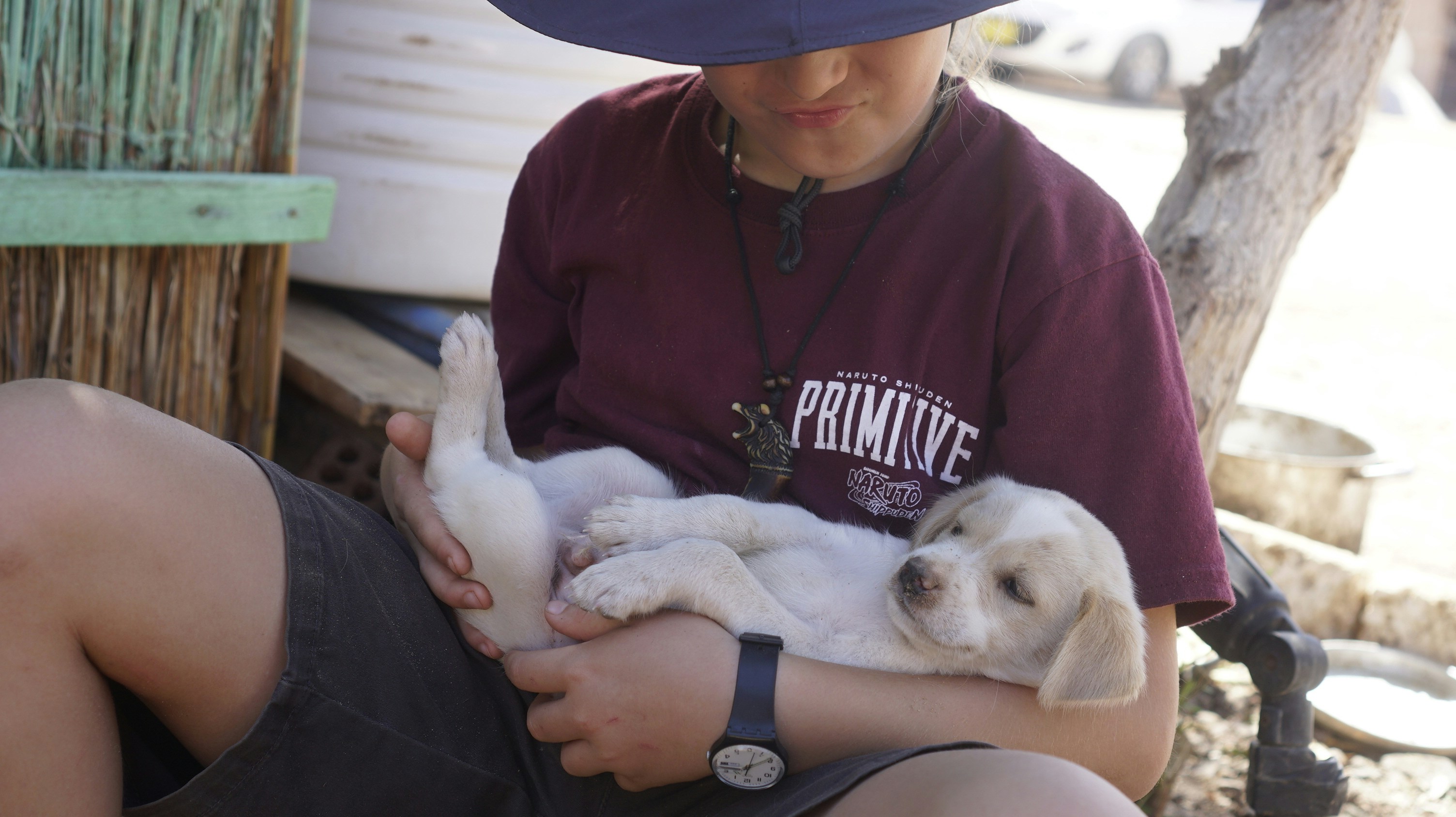 Boy with puppy on beach