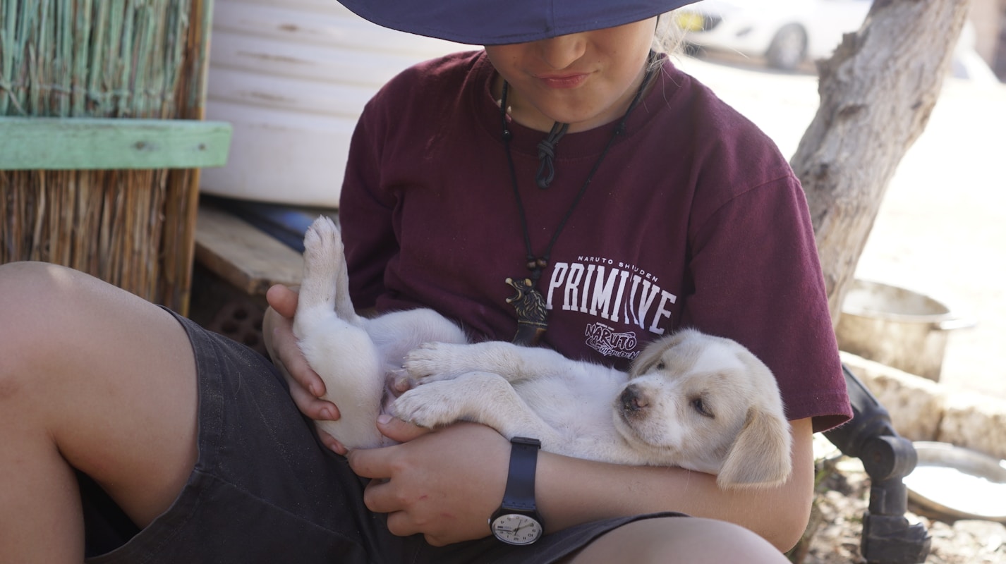 Volunteer with rescue dog