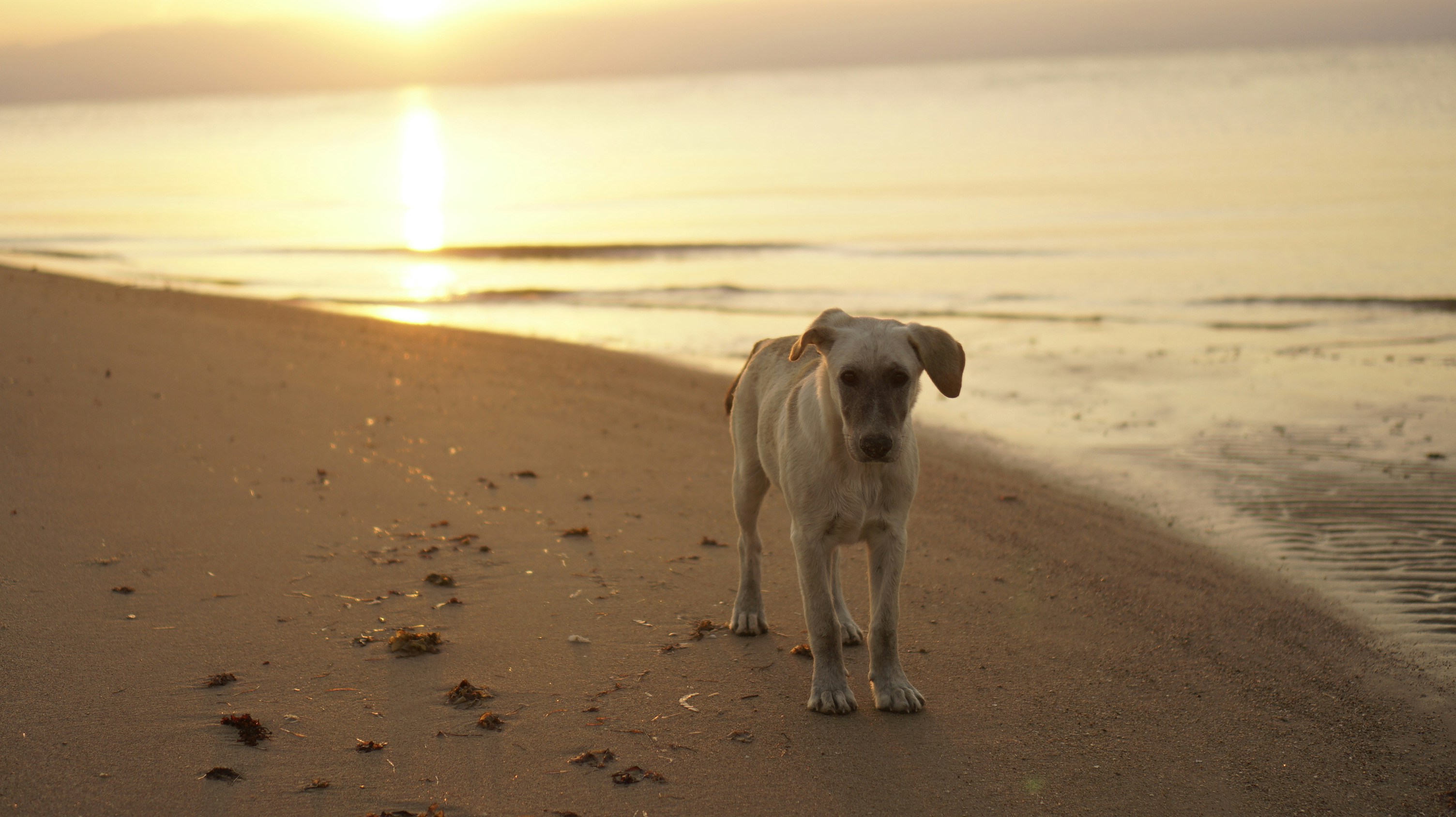 Photo by greenprophet