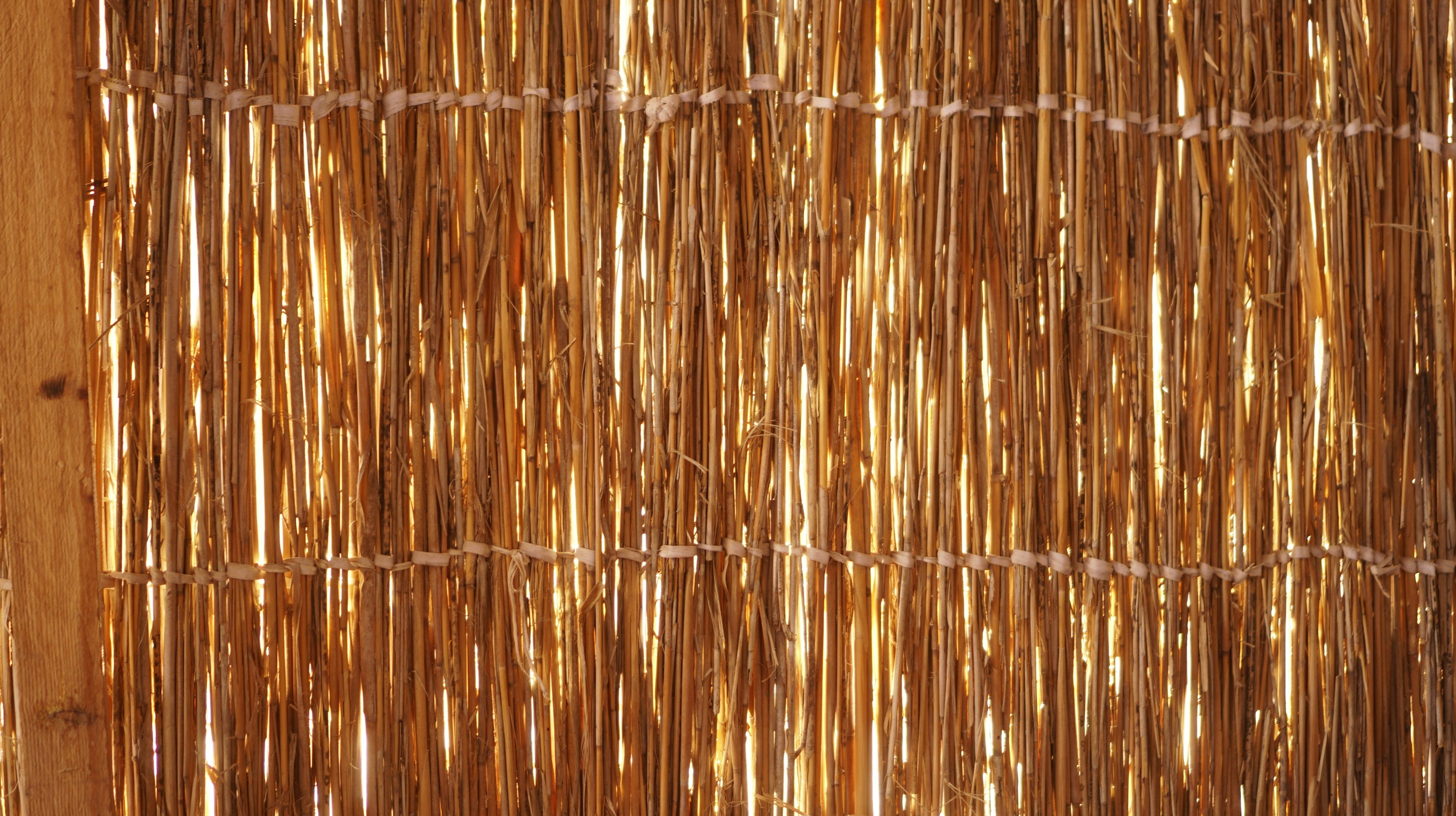 tropical rattan wallpaper, wallpaper, Affordable Tropical Pendant Lights for Entryway 5