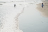 Children playing on the beach with soft waves.