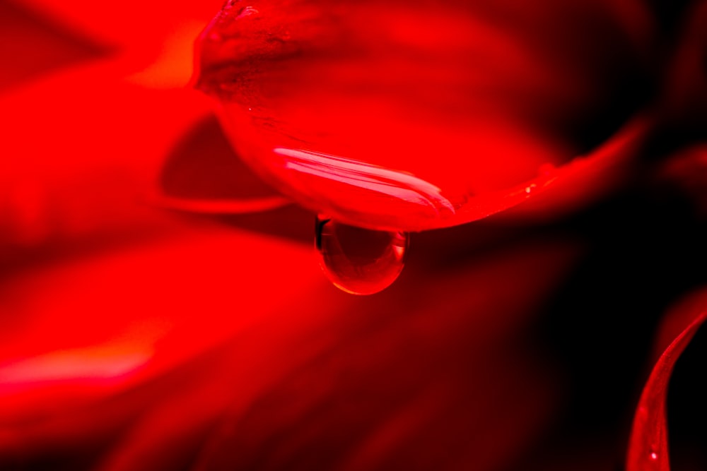 a red flame with a red background