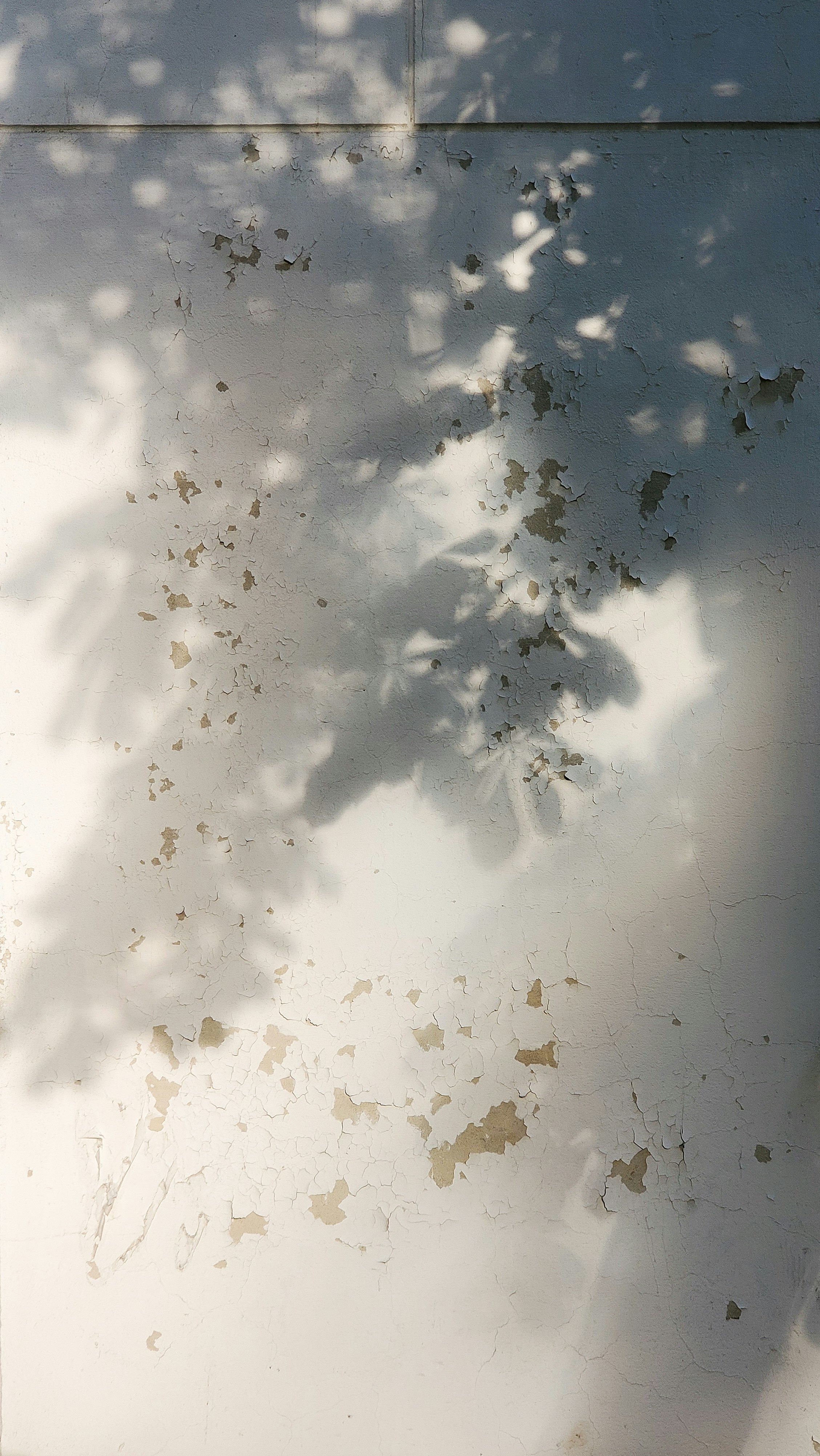 Photo by akinrainbow