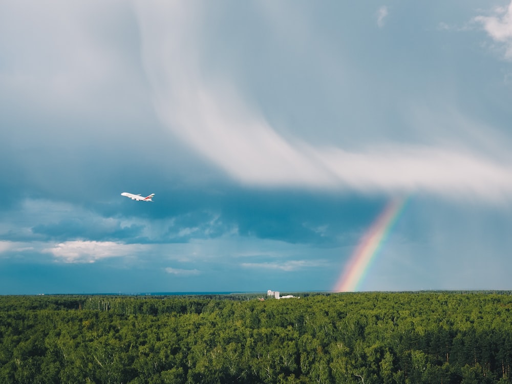 a plane flying over a forest