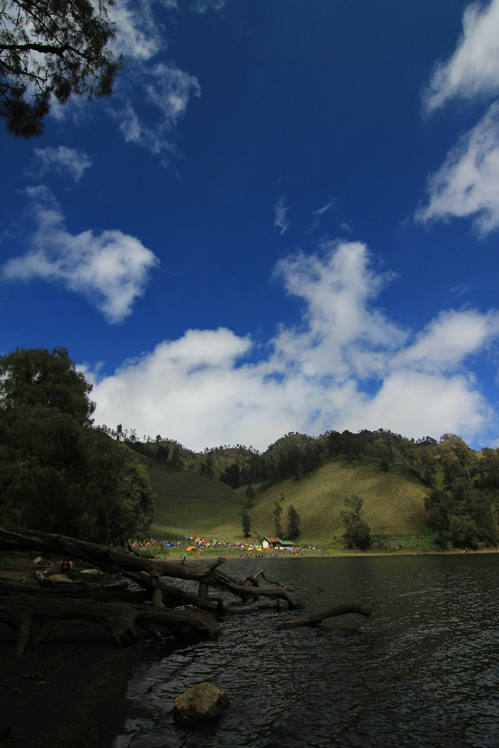 a river with trees and hills in the background