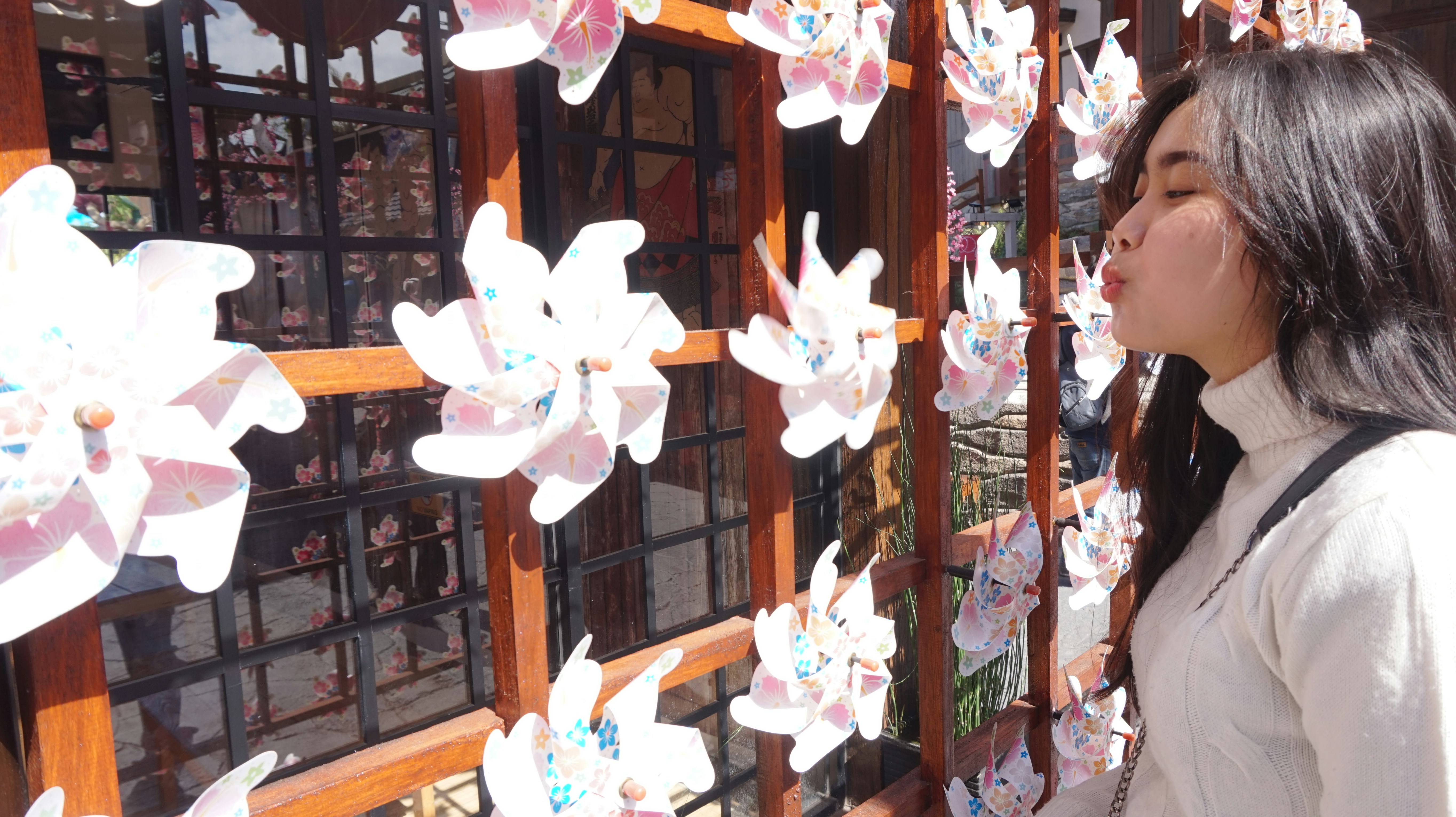 A person looking at a display of white and pink flowers