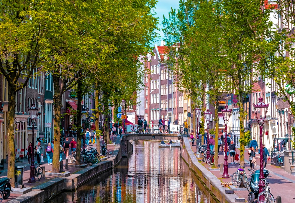 a canal with trees and buildings along it