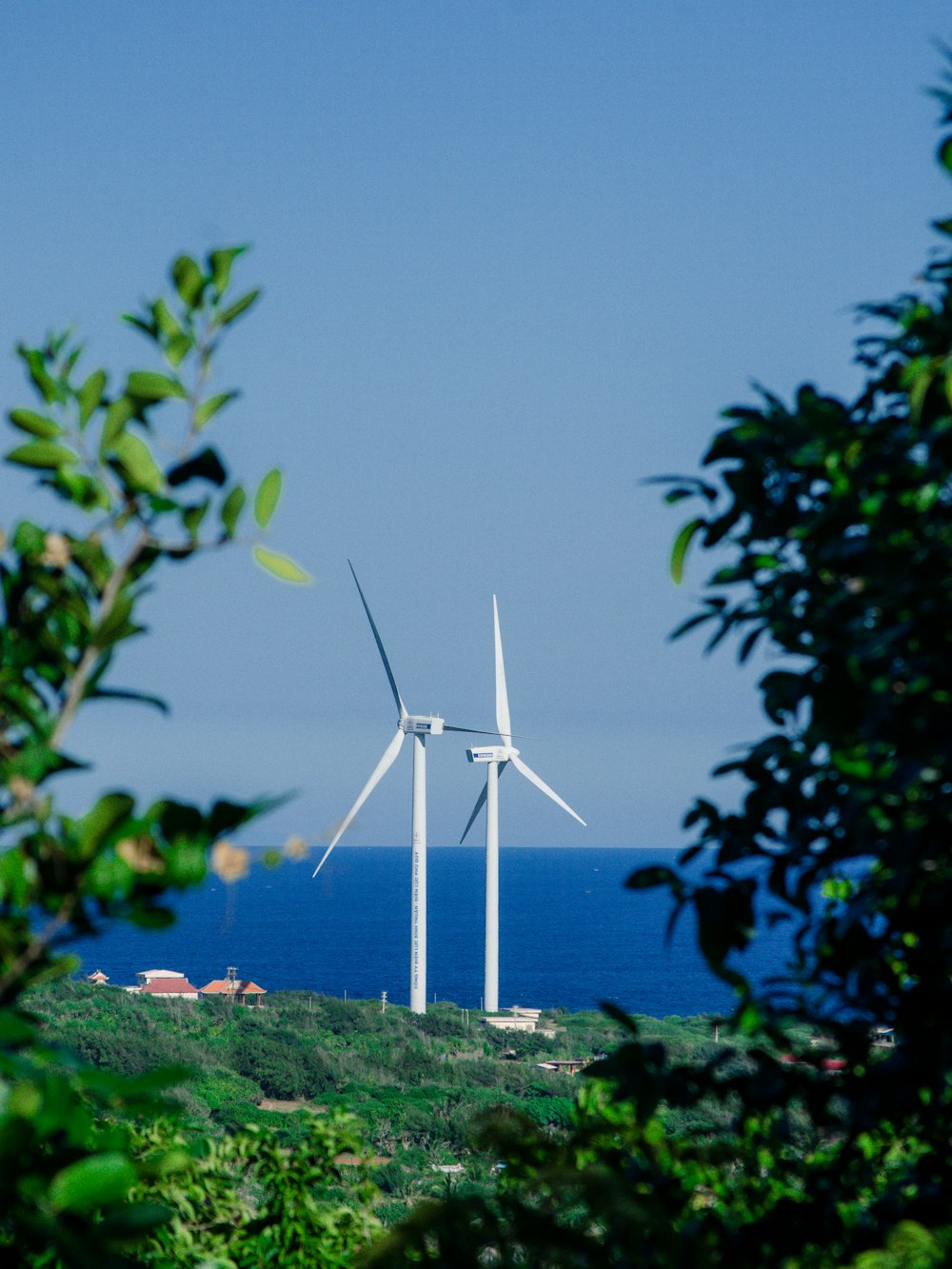 a group of wind turbines