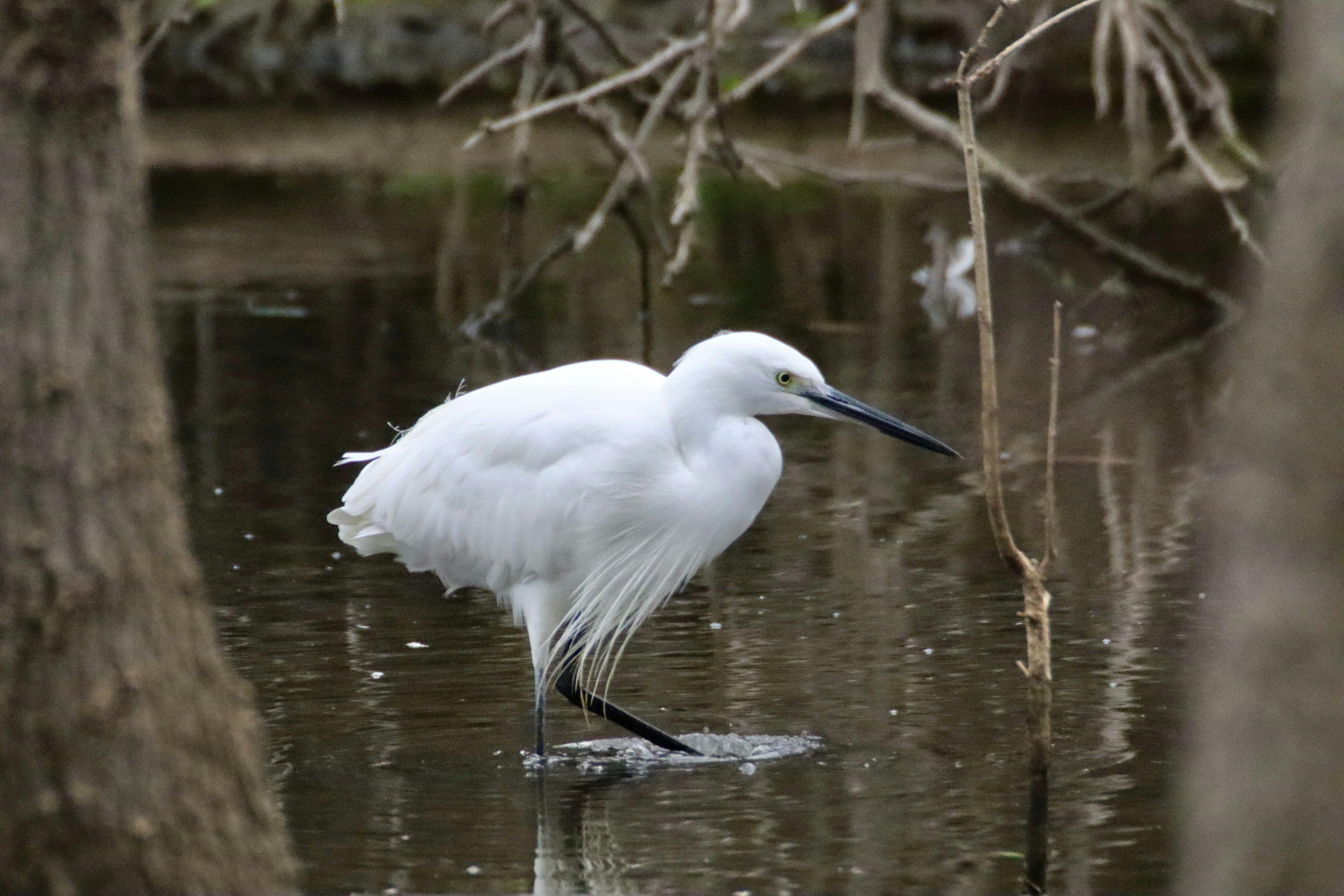 Photo by kingisback76