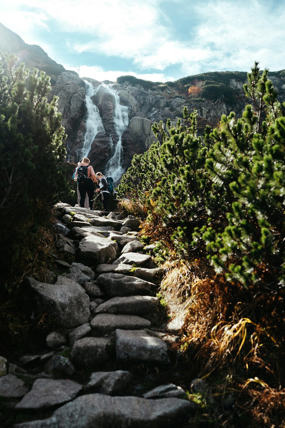 a person standing on a rocky path with a waterfall and trees
