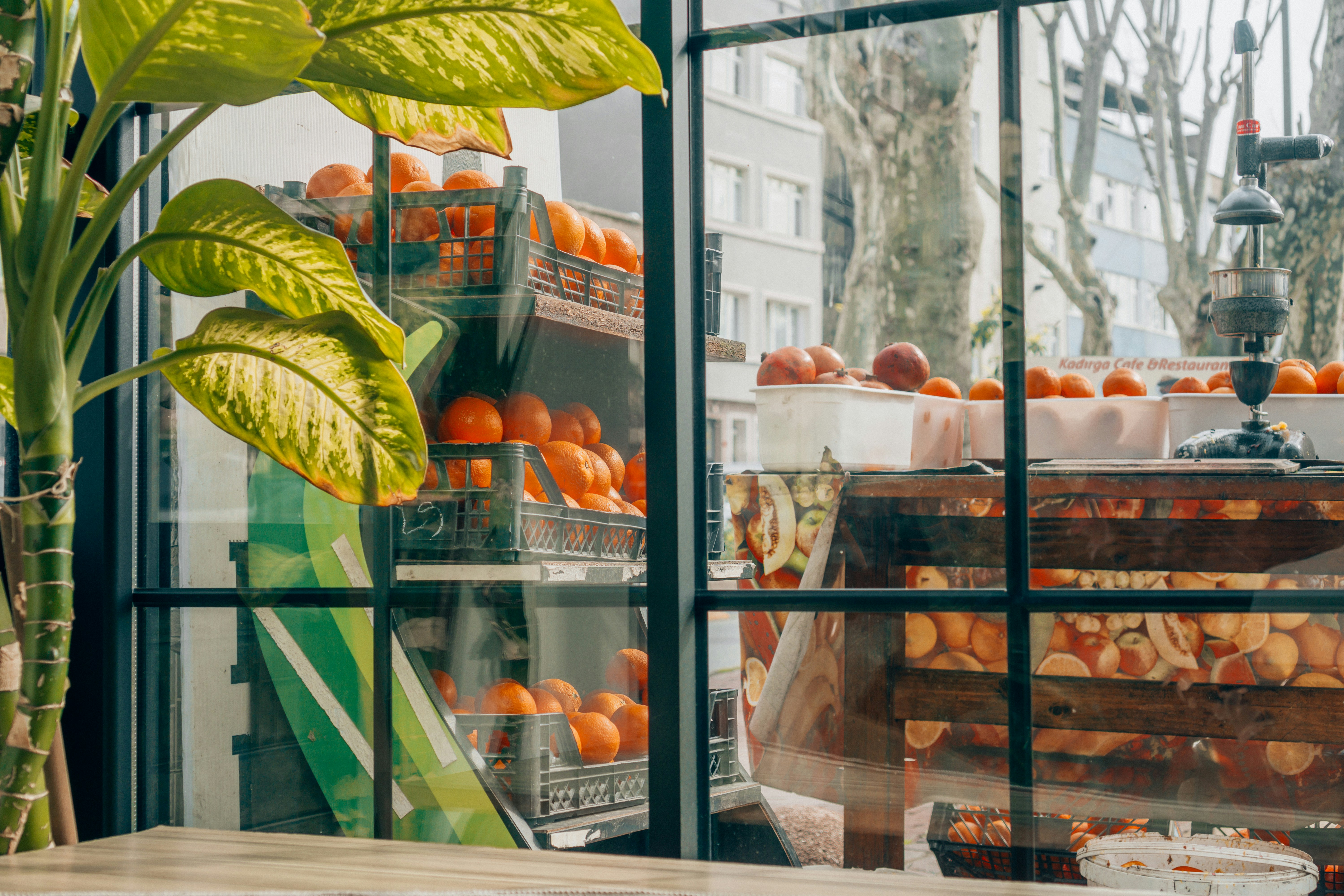 Photo by filizelaerts