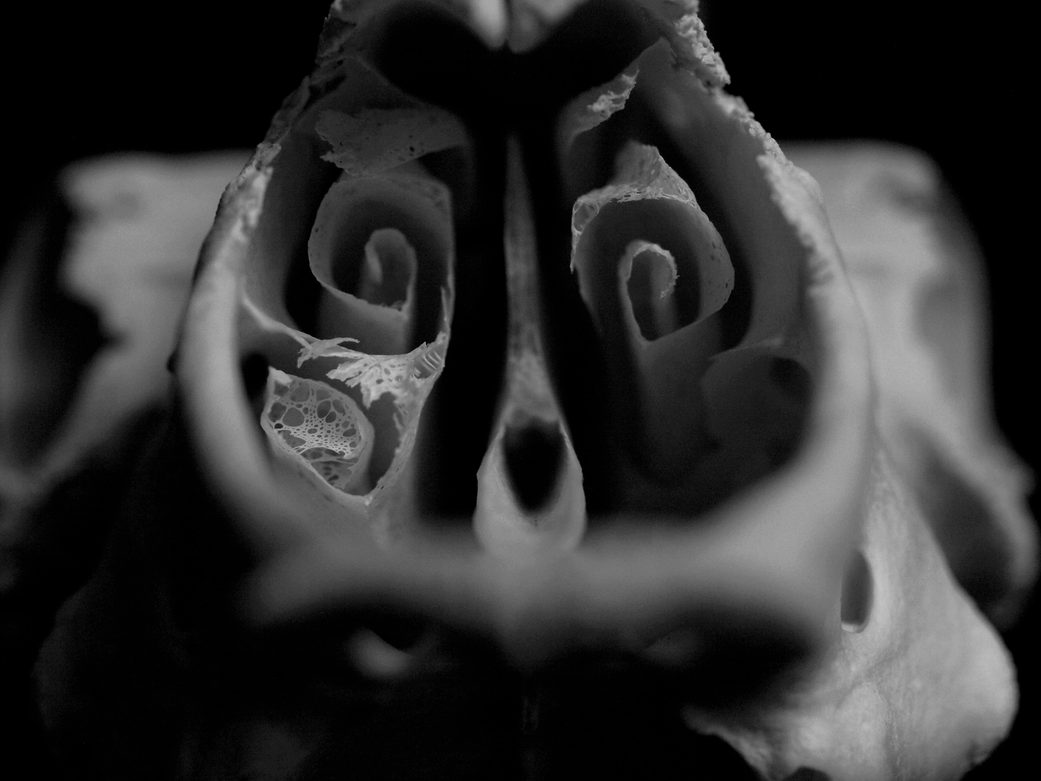 Photo by sideproject