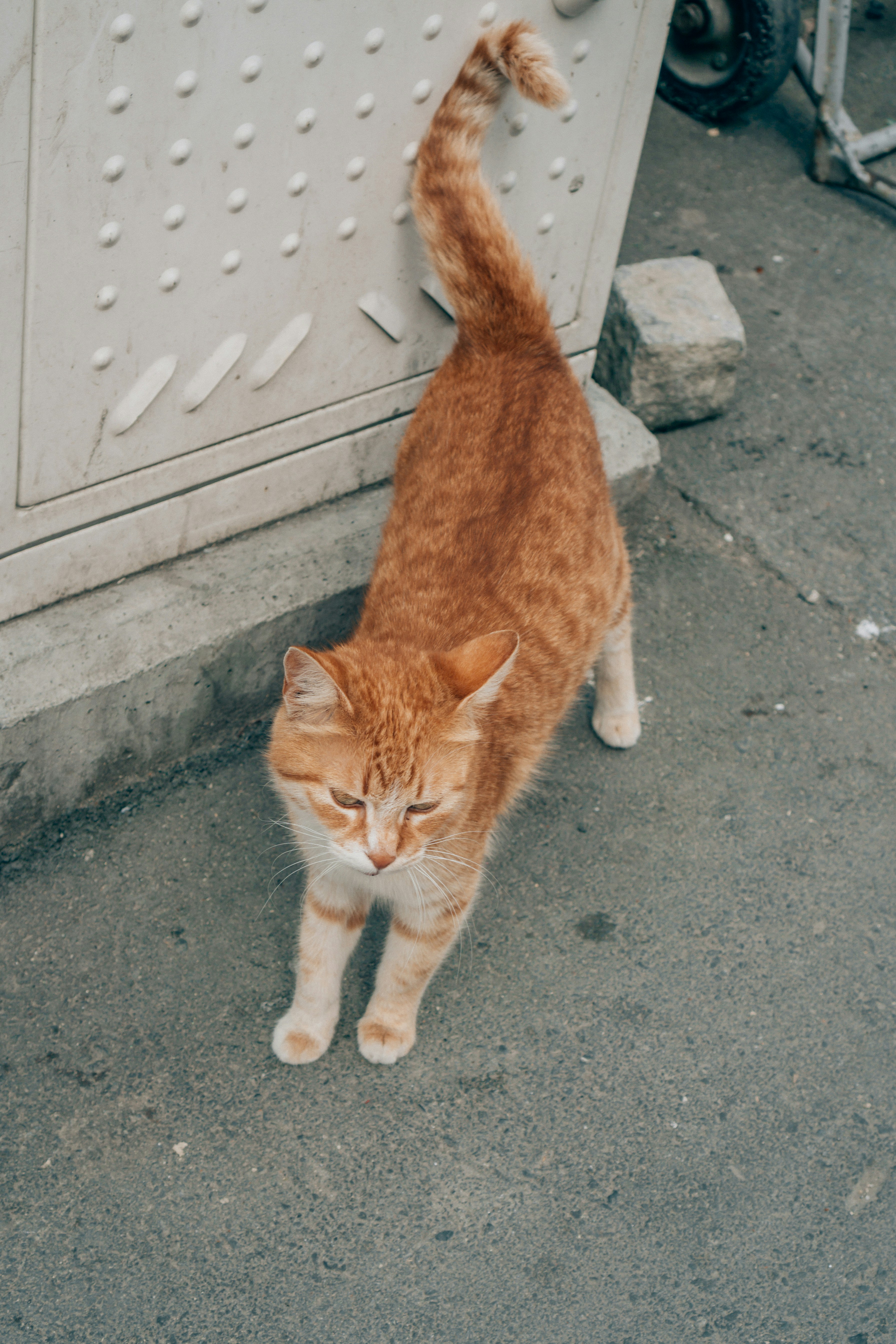 Photo by filizelaerts