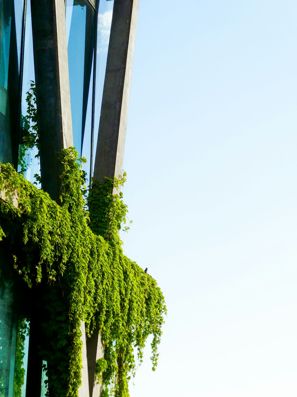 a tall building with trees in front of it