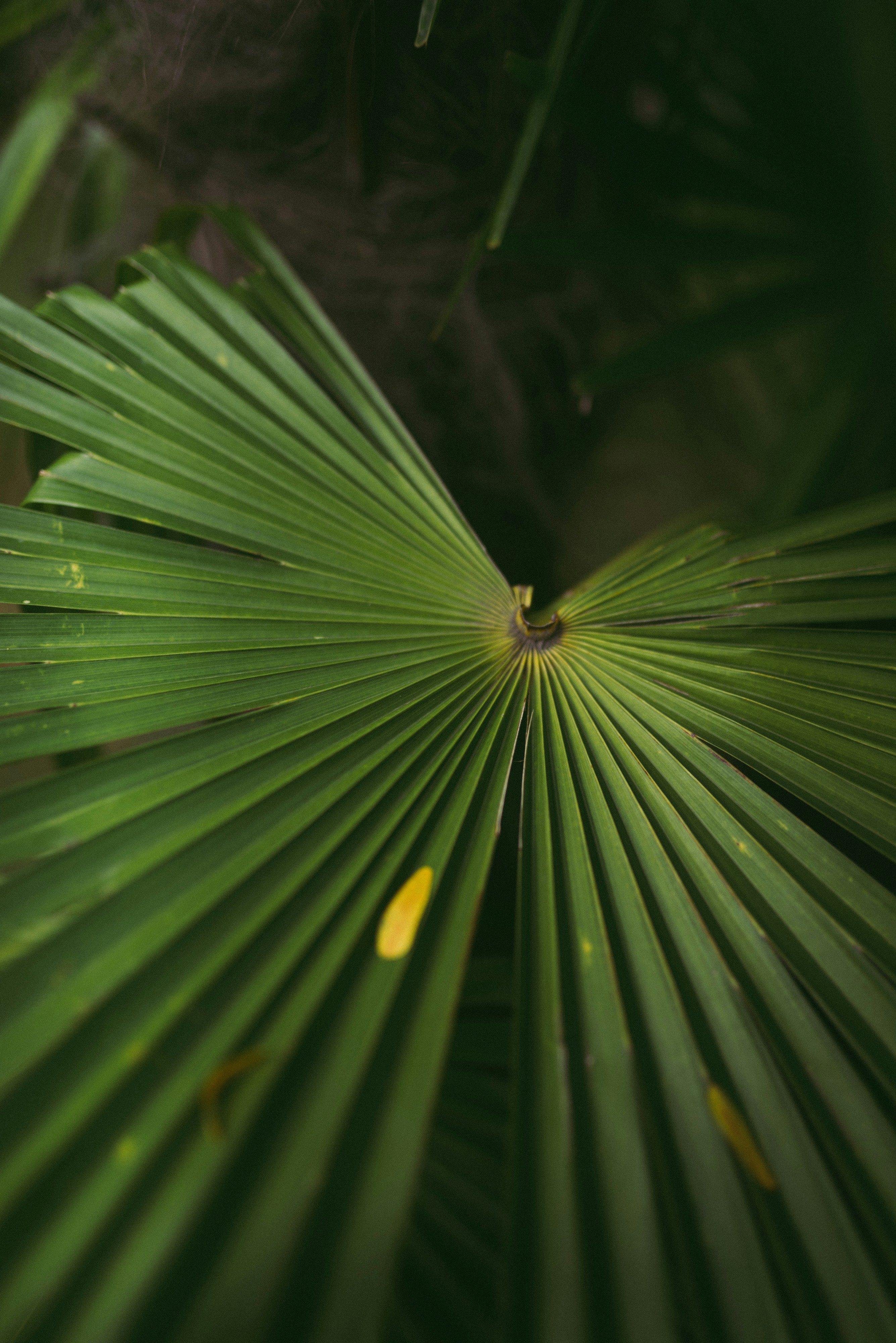 Photo by korobovaphoto