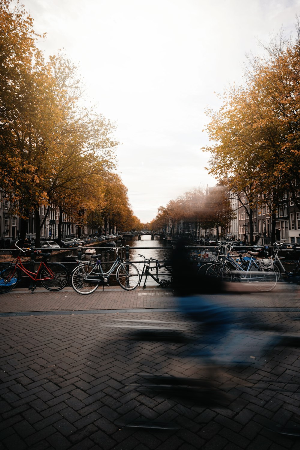 a group of bicycles parked on a brick walkway with trees and buildings in the background