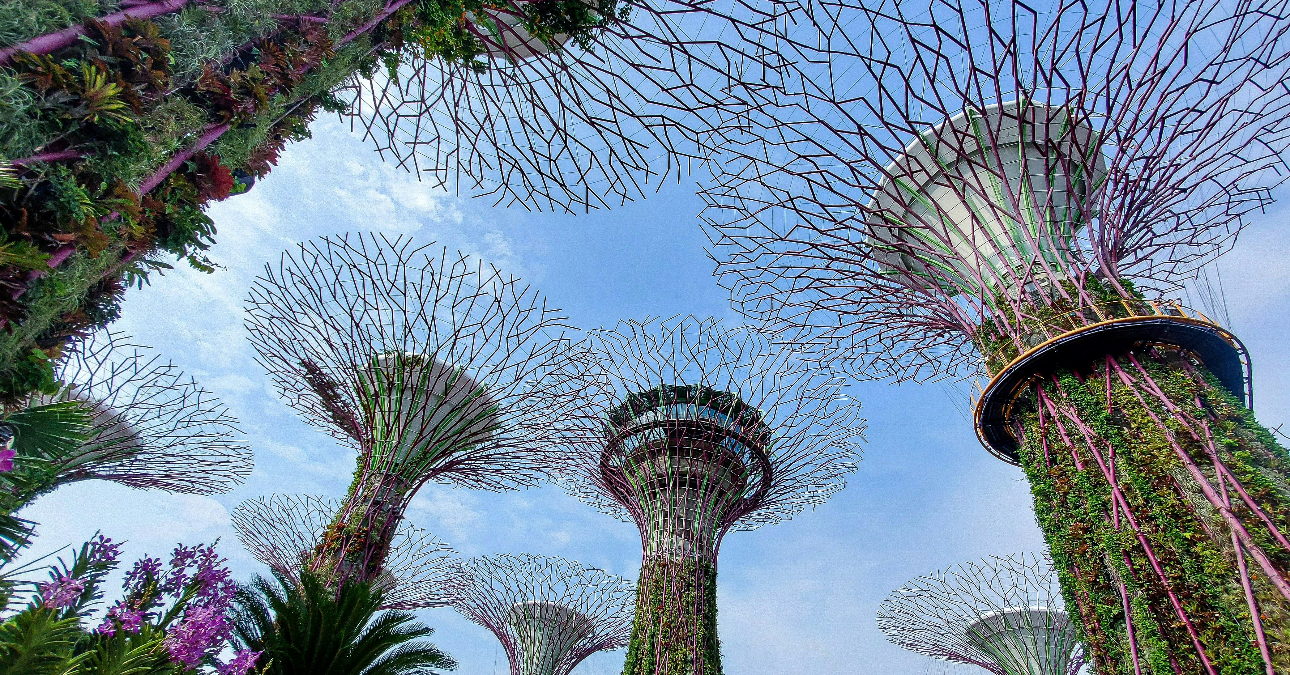 Photo by hypocriteeeee