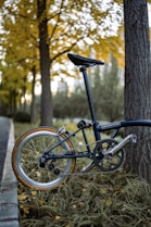 a bicycle parked by a tree