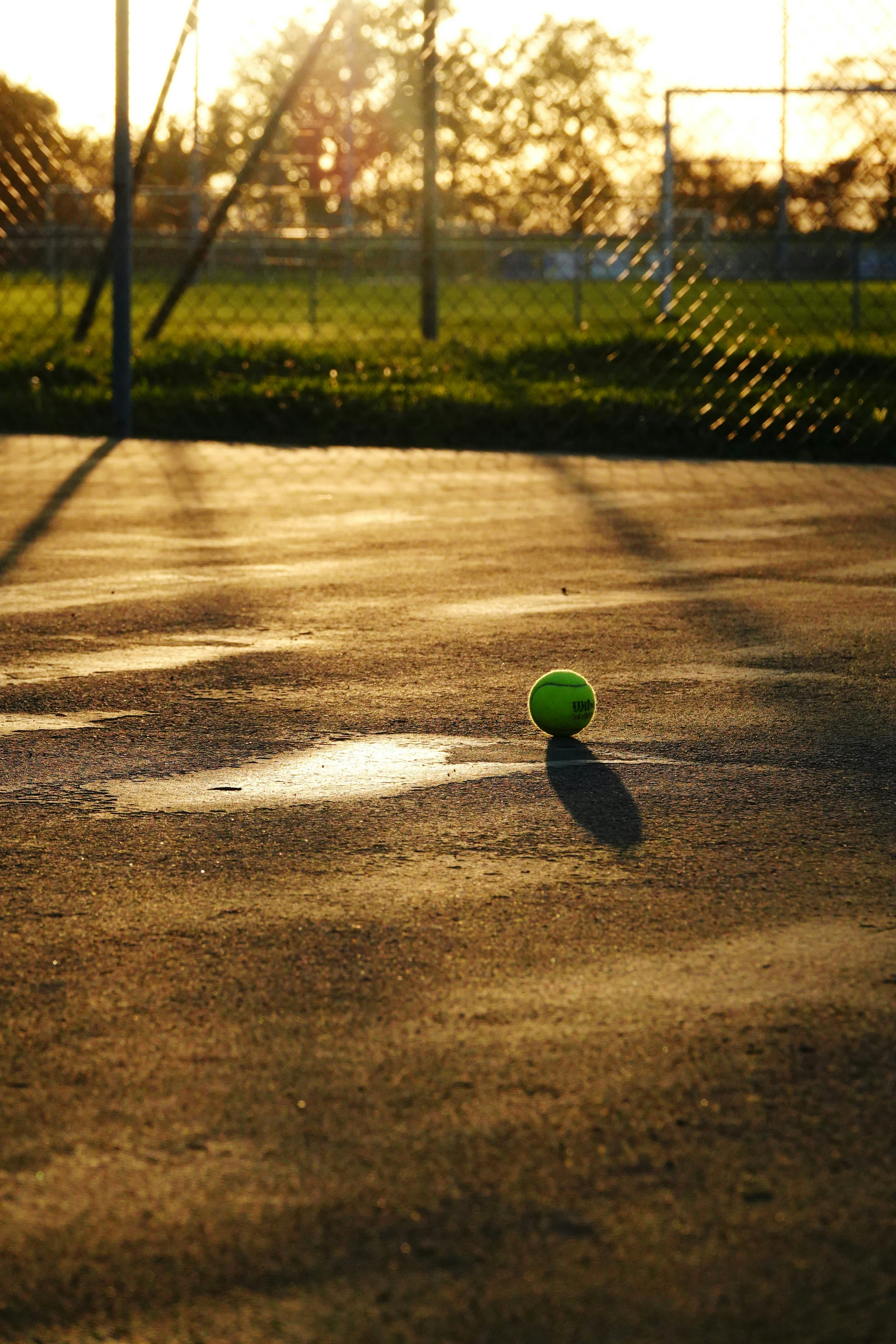 a tennis ball on a court