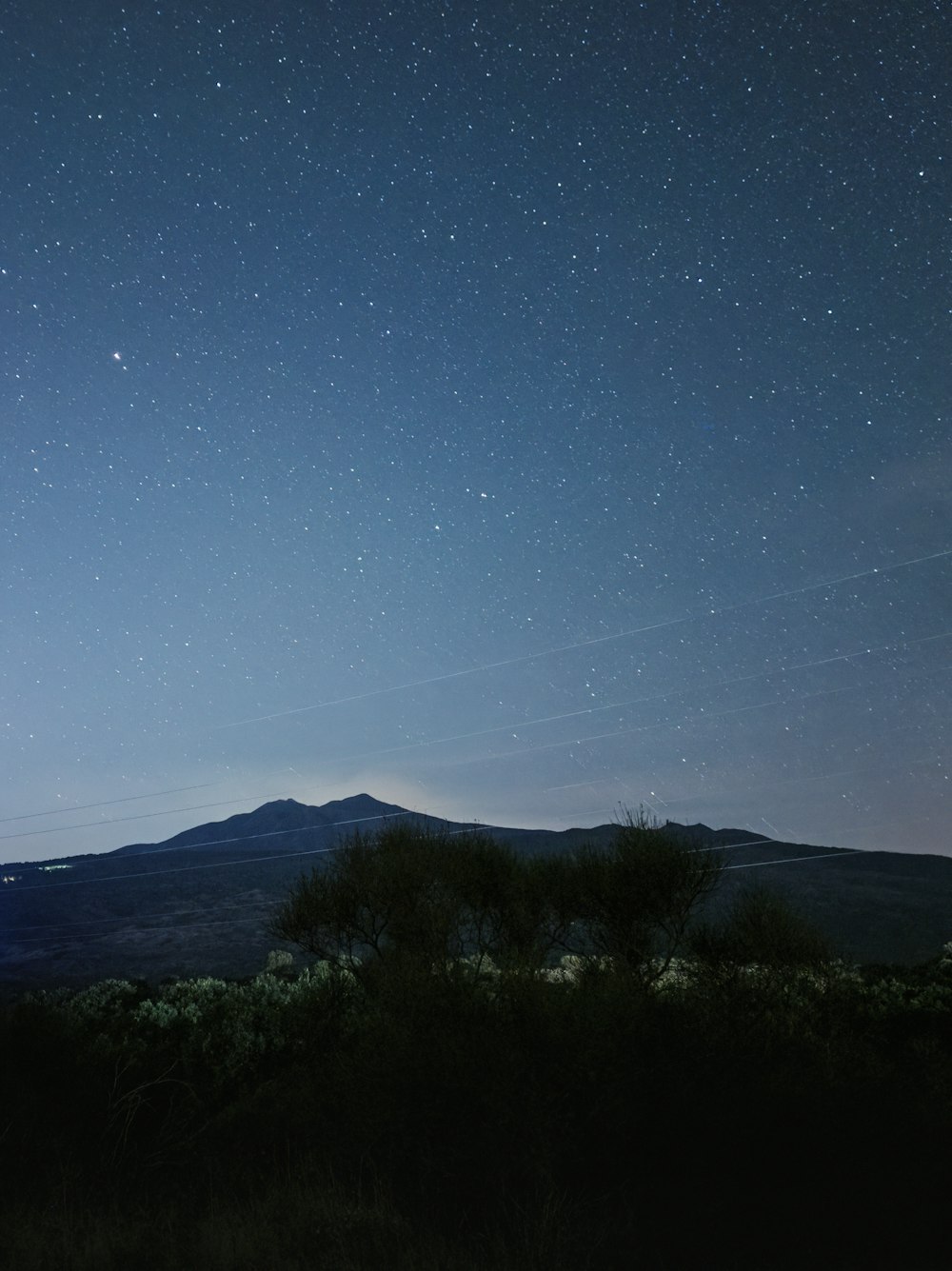 a starry night sky over a forest