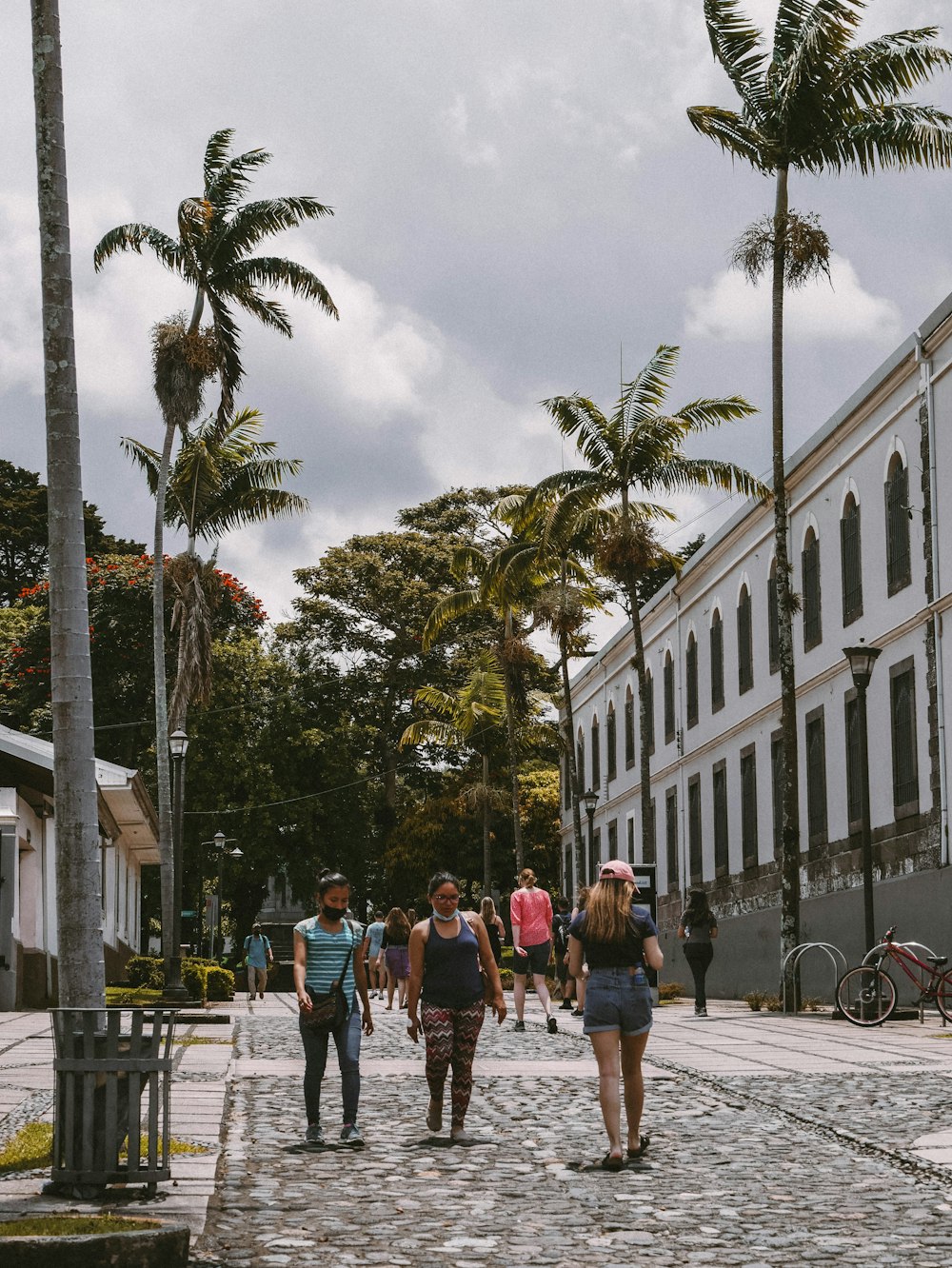 a group of people walking on a street with palm trees and buildings