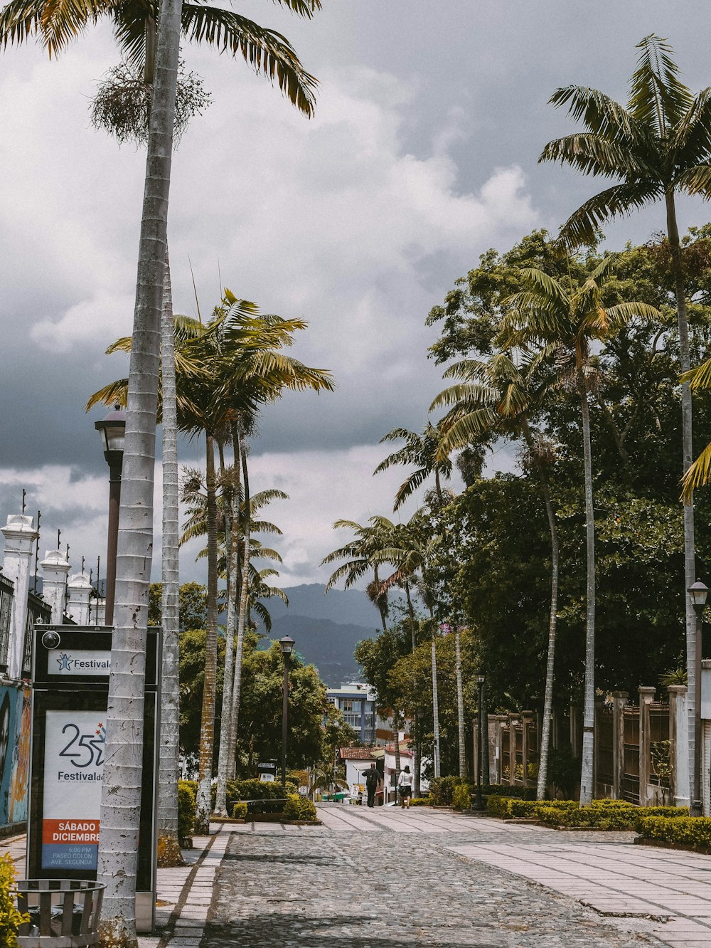 a street with palm trees and buildings