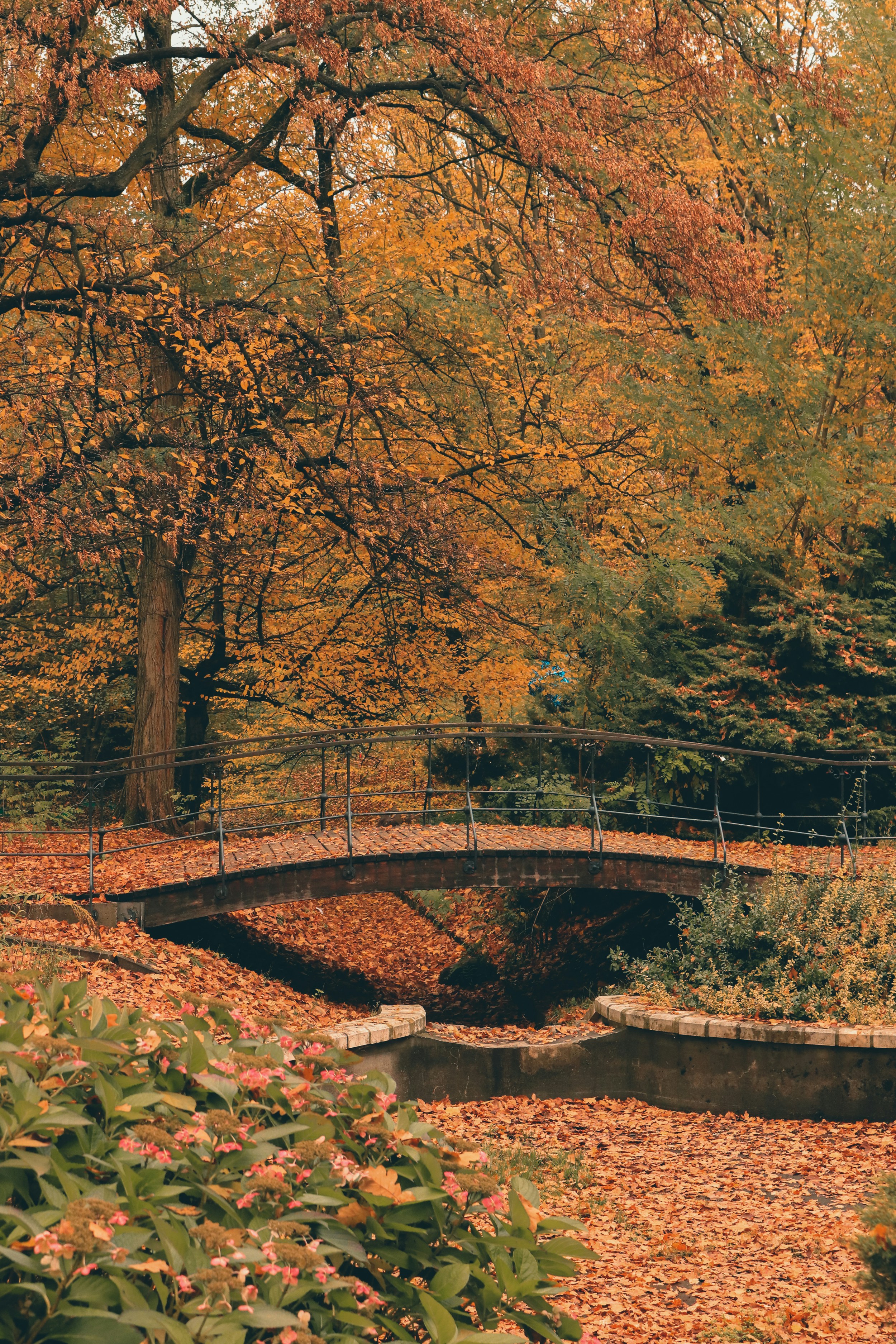 a bridge over a river