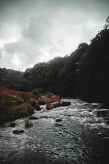 A peaceful natural landscape with a flowing river and lush greenery, representing environmental security for future generations.