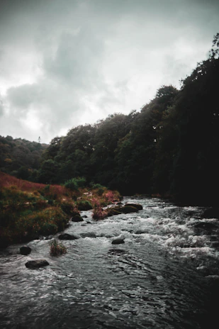 A peaceful natural landscape with a flowing river and lush greenery, representing environmental stewardship.