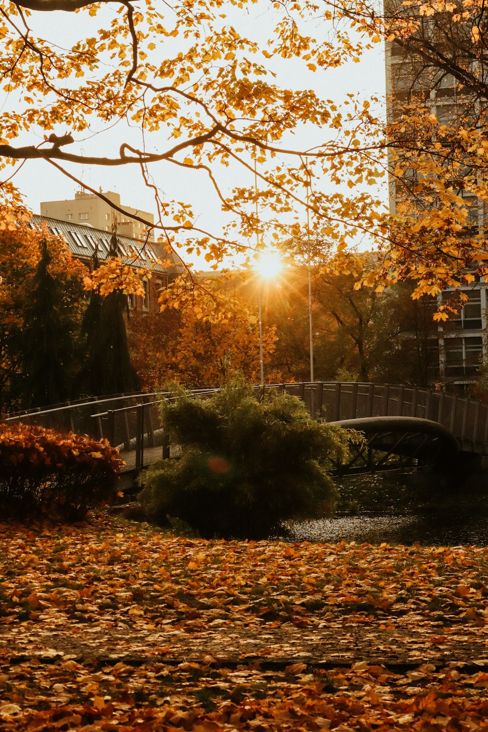 a bridge with trees and a building in the background