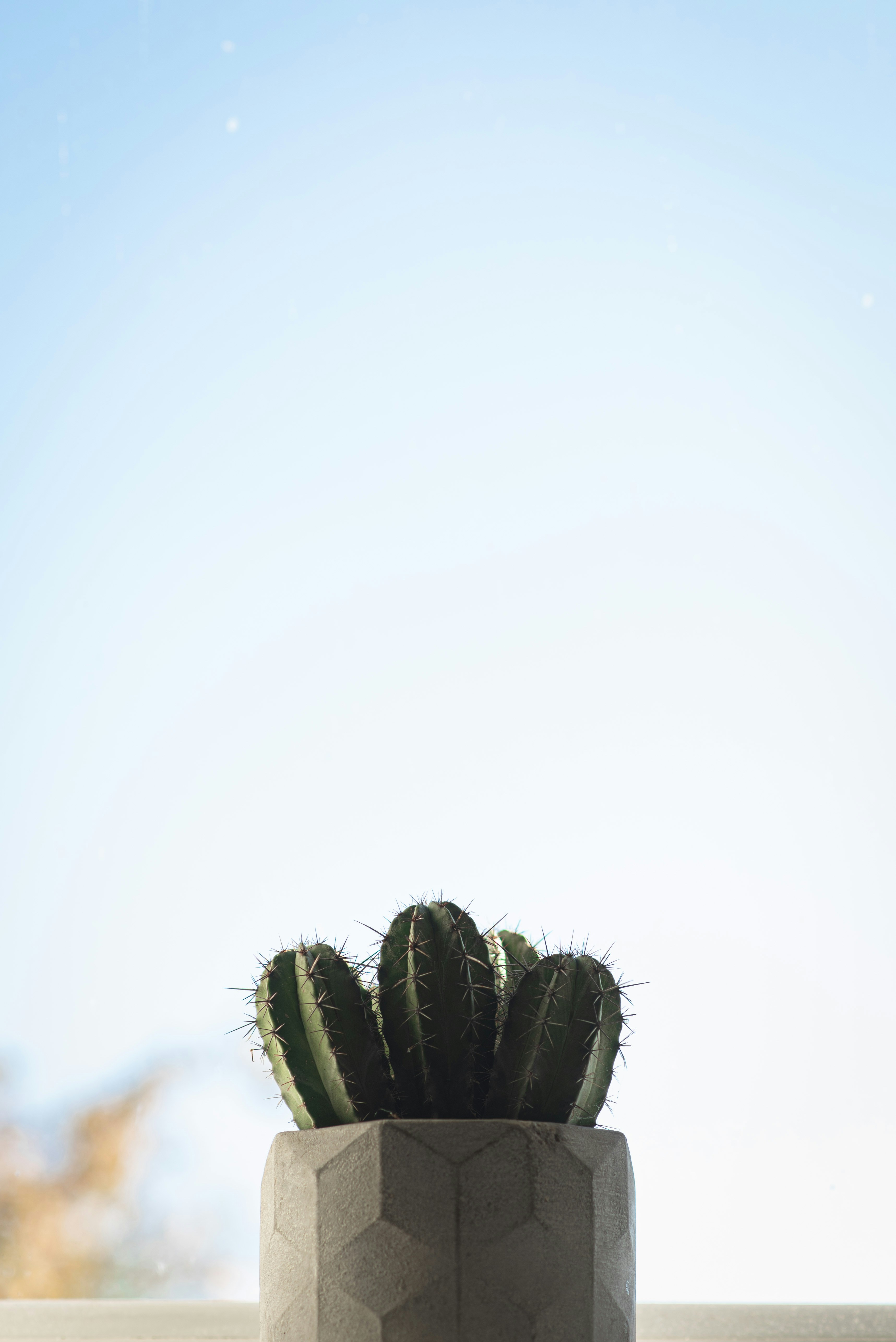 Photo by ellyendeavours