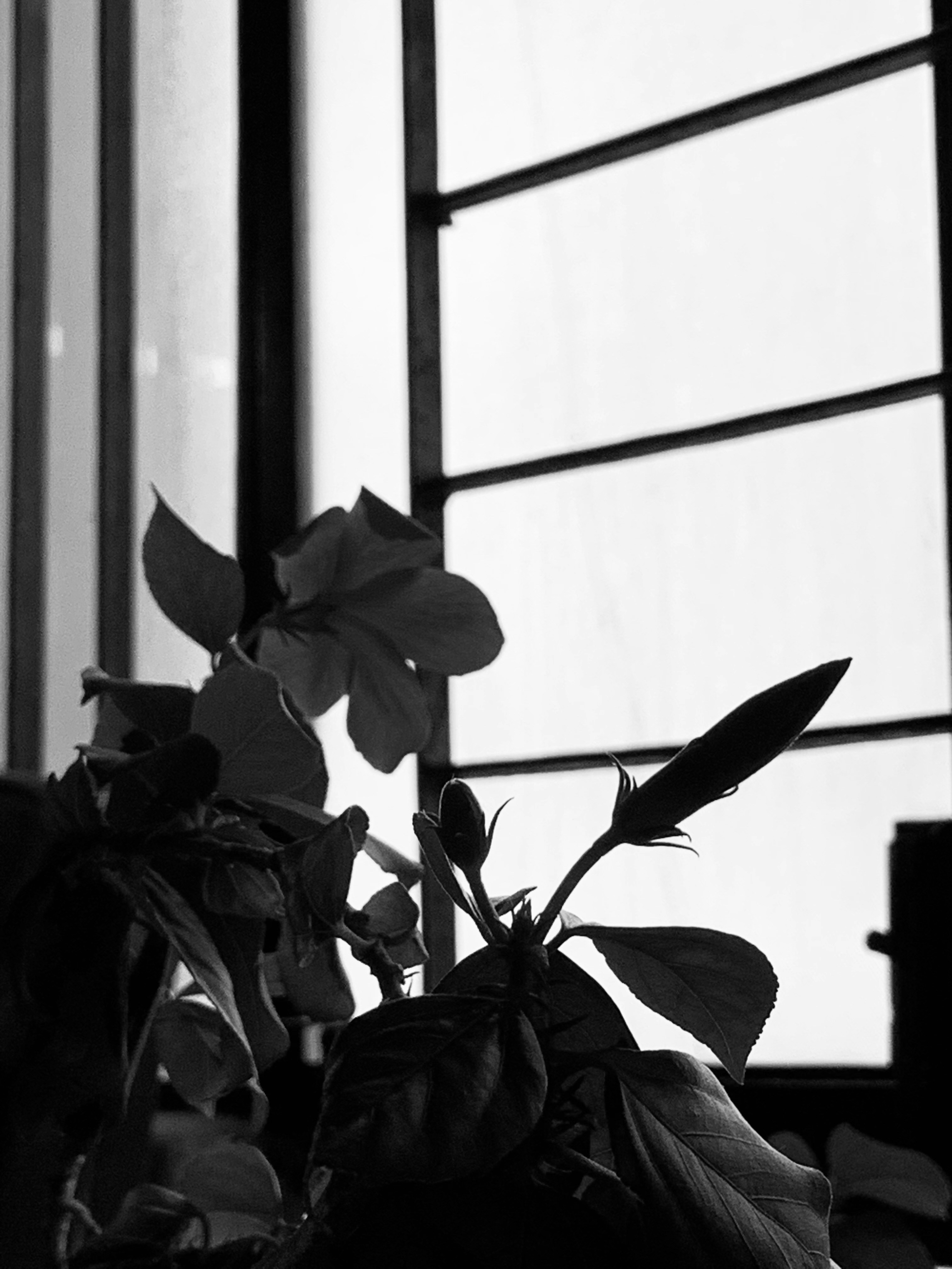 Photo by akshar_dave