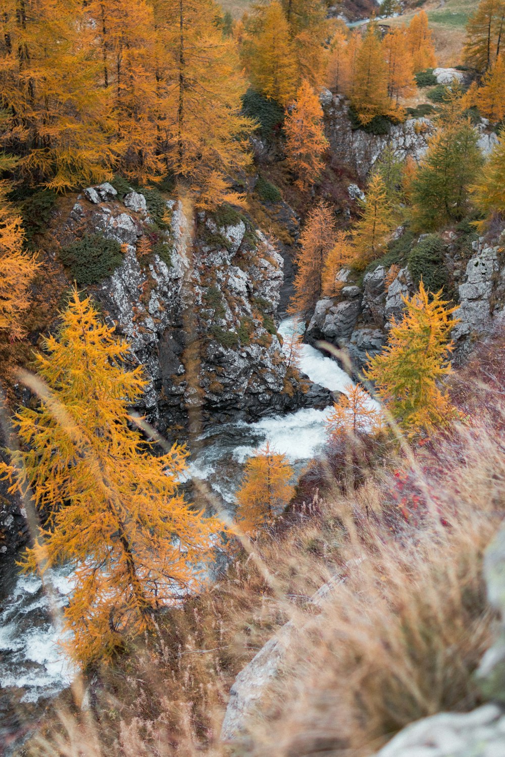 a rocky and forested area