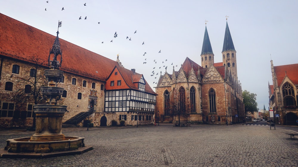 a group of birds flying over a courtyard of a church