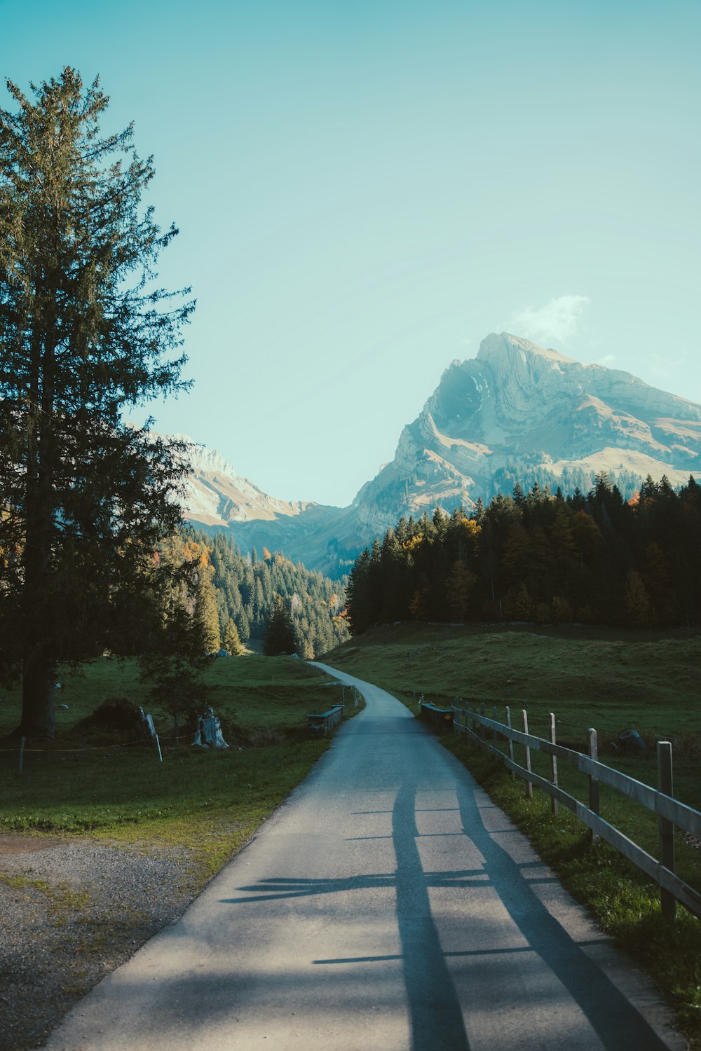 a road with grass and trees and mountains in the background