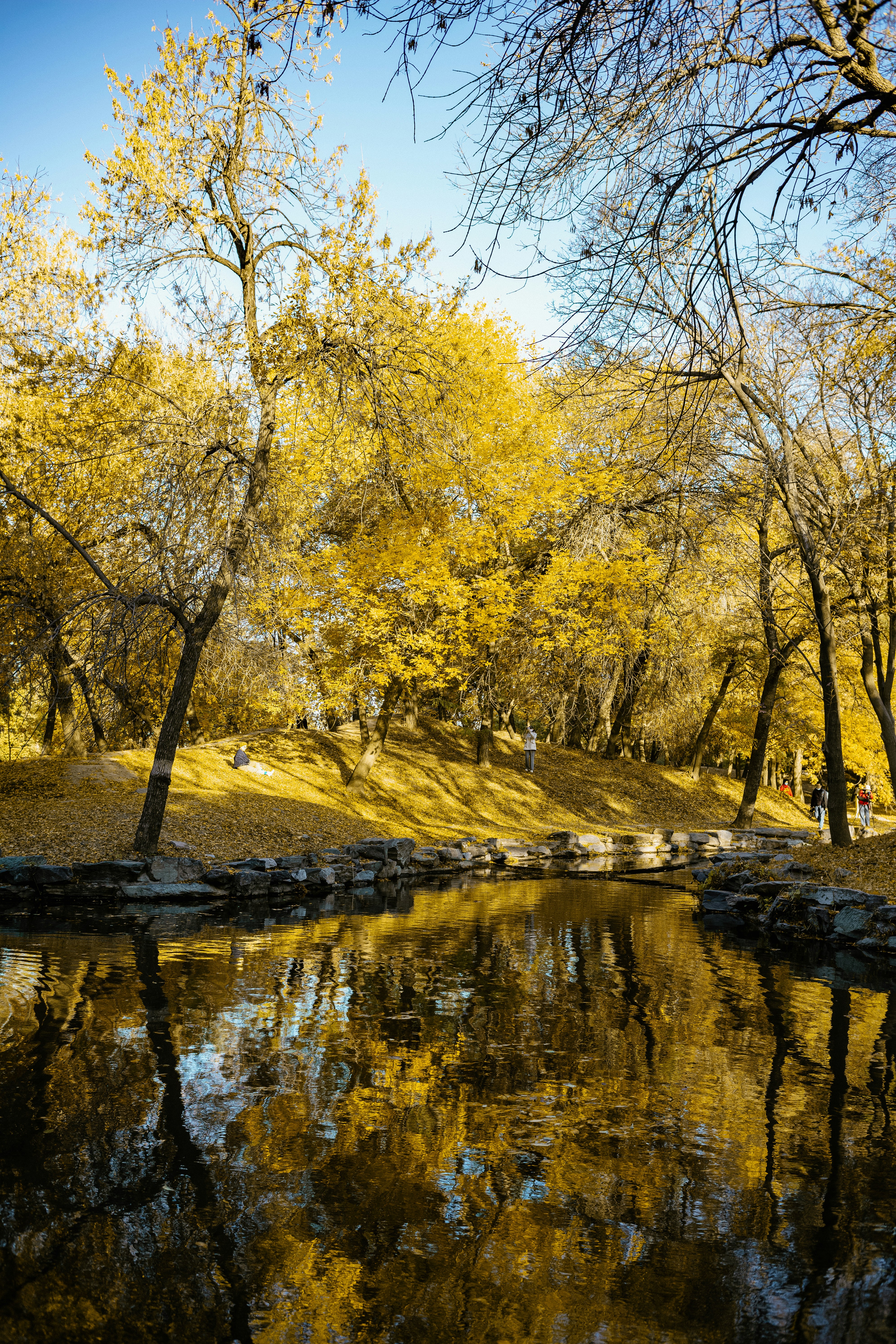 Photo by tommaomaoer